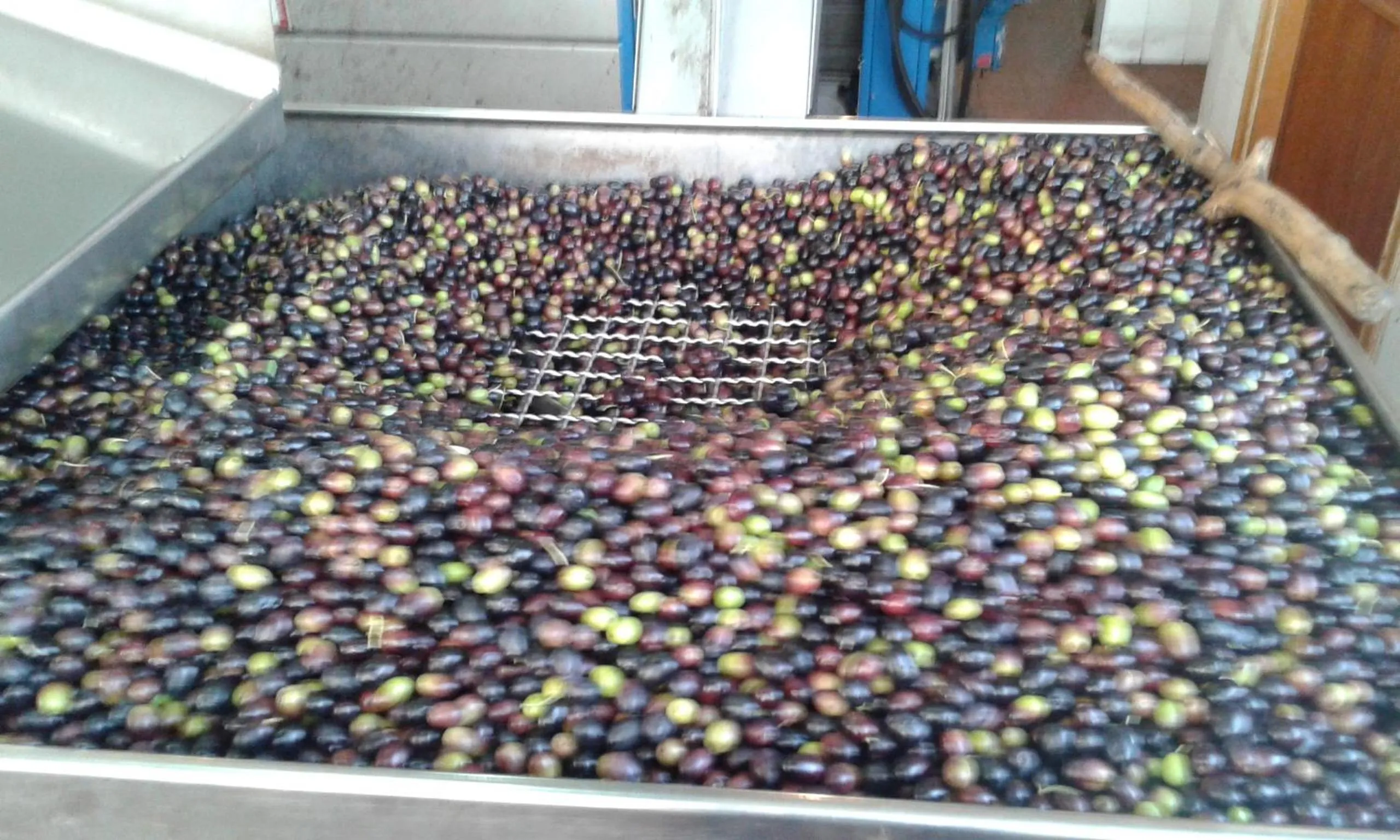 Food close-up in Agriturismo Mare e Monti