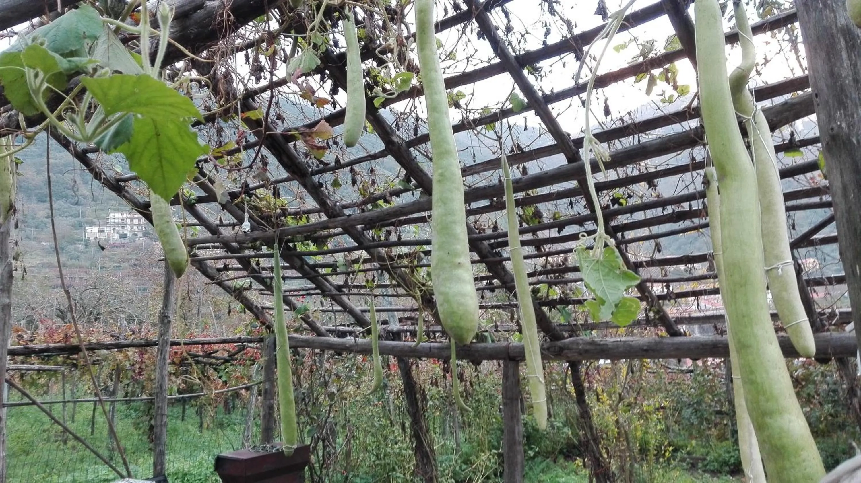 Food close-up in Agriturismo Mare e Monti