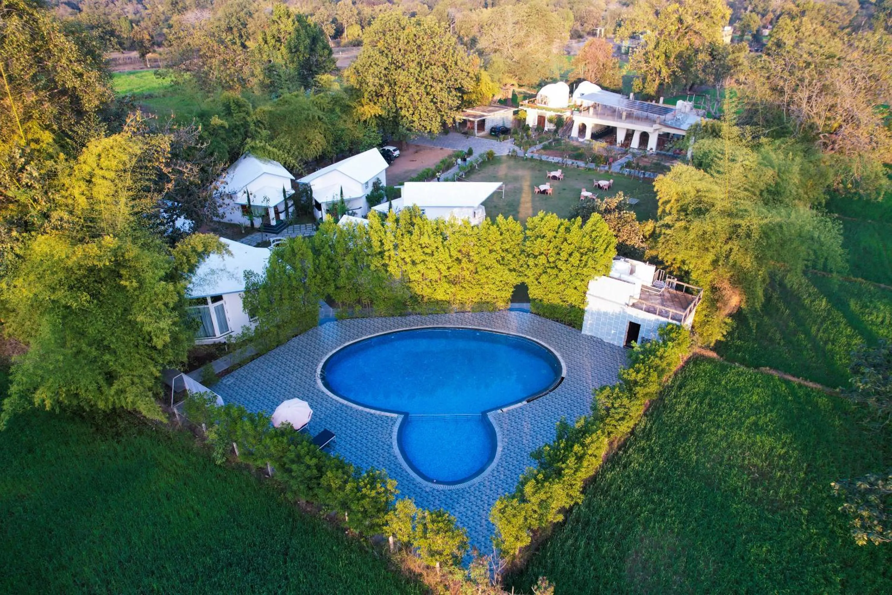 Bird's eye view in Olive