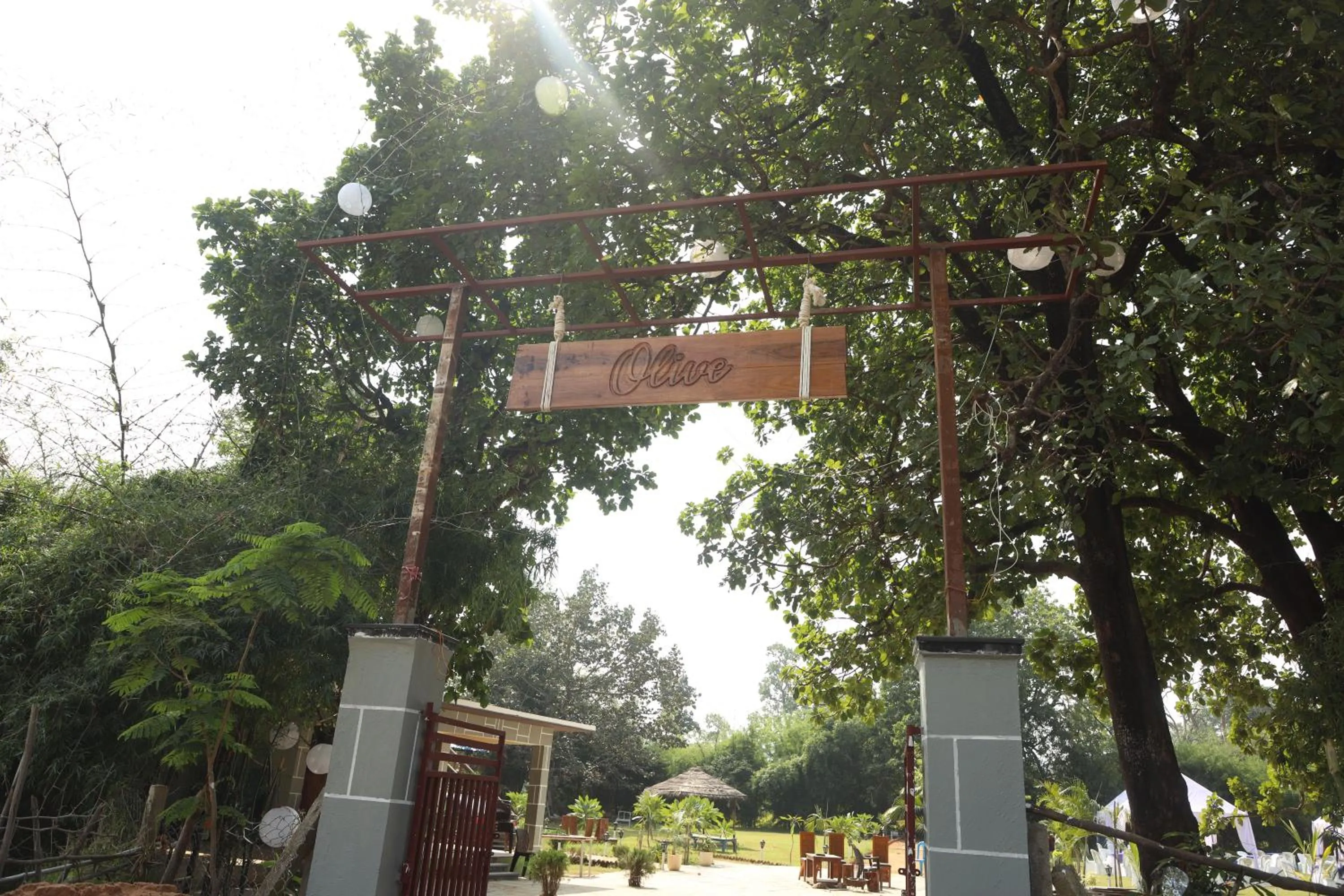 Facade/entrance in Olive