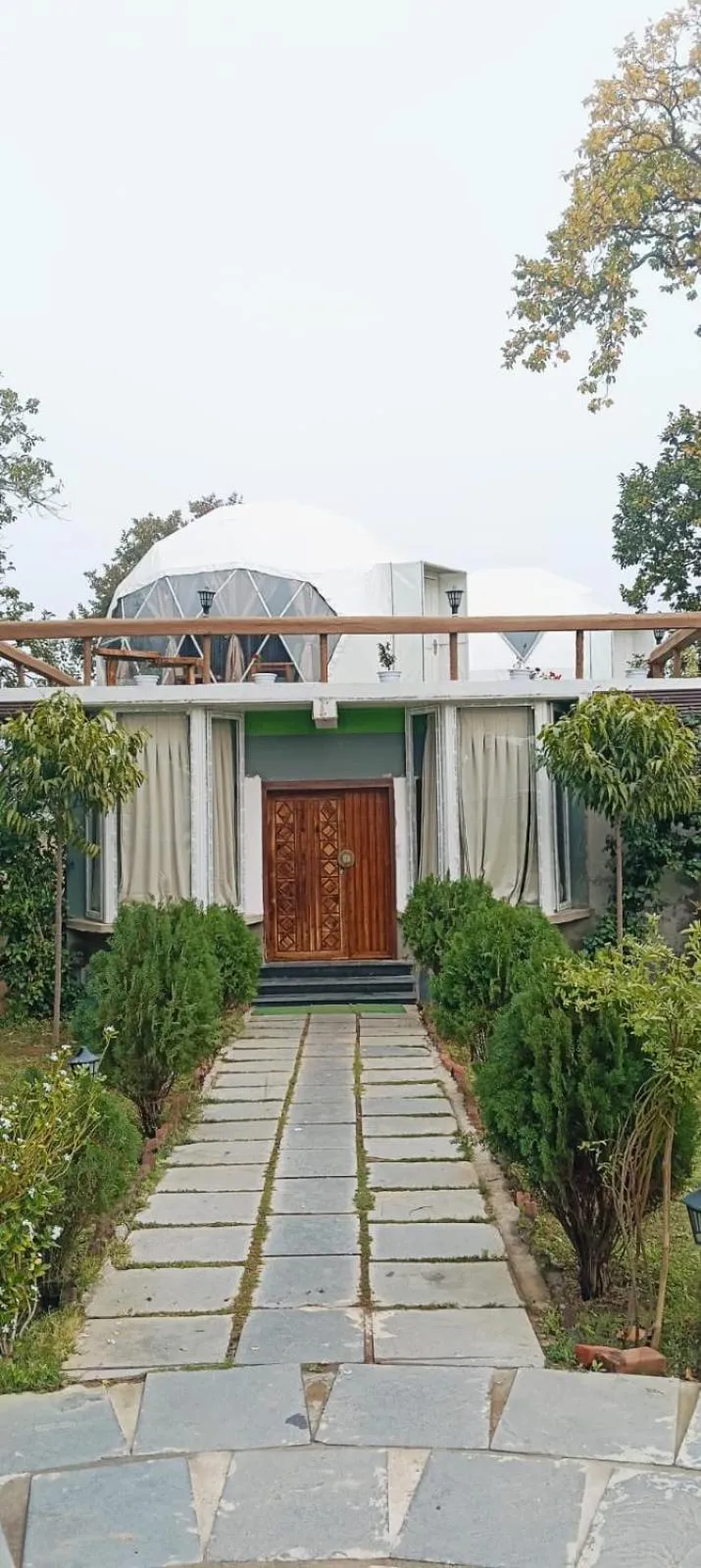 Garden view in Olive