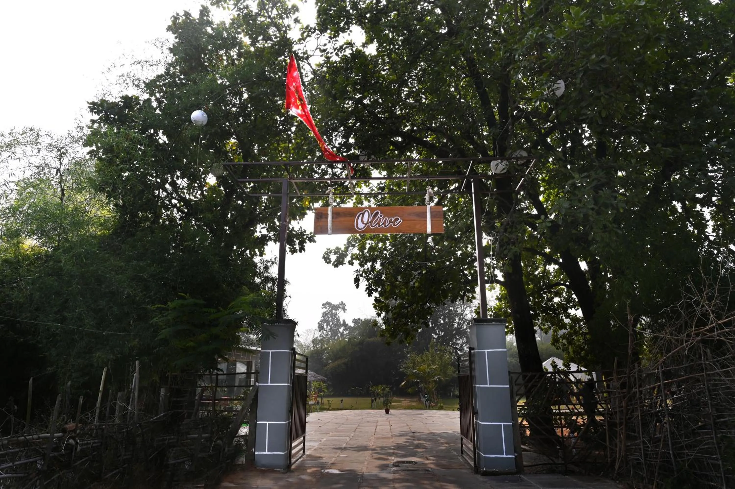 Facade/entrance in Olive