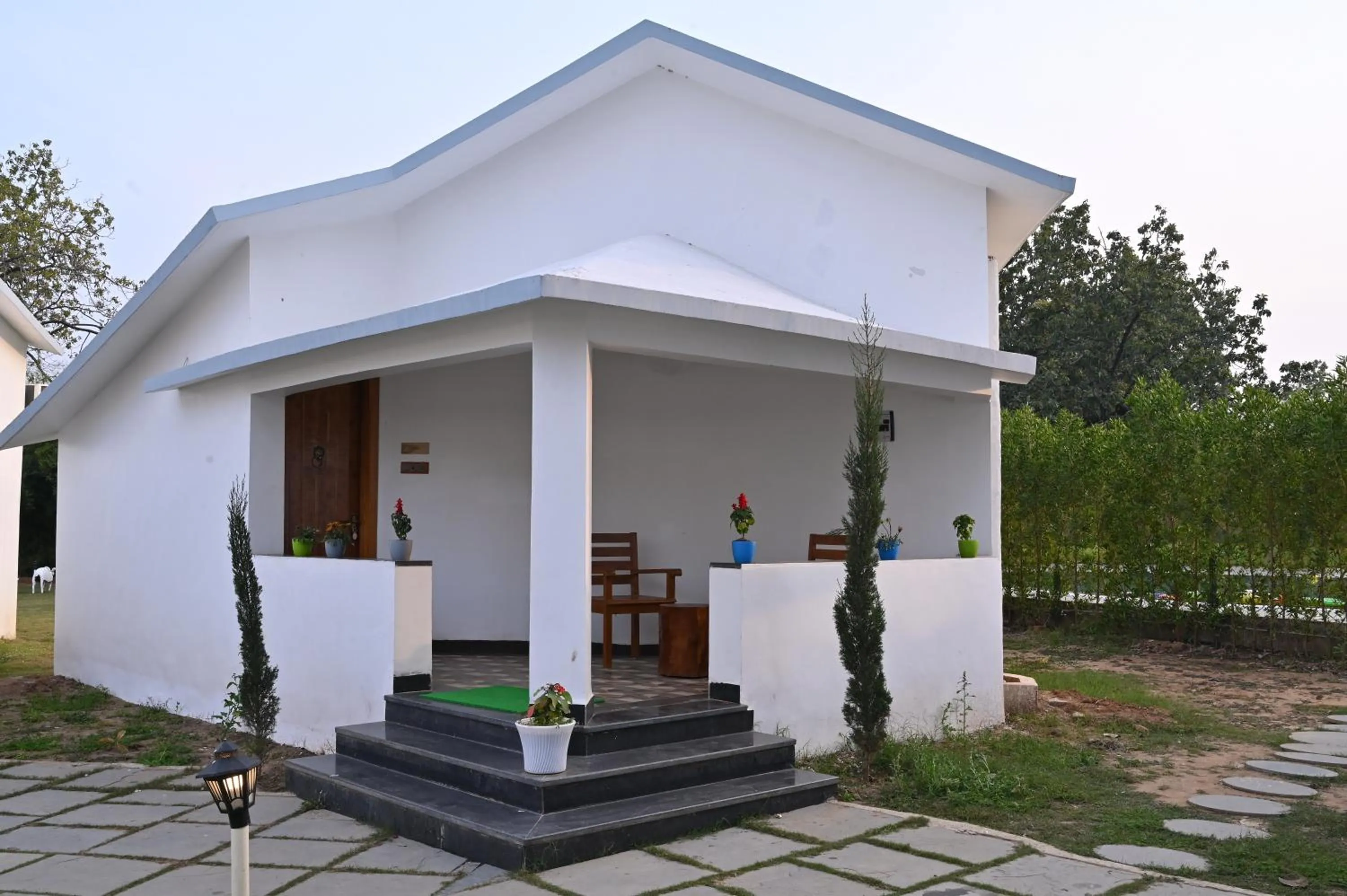 View (from property/room) in Olive