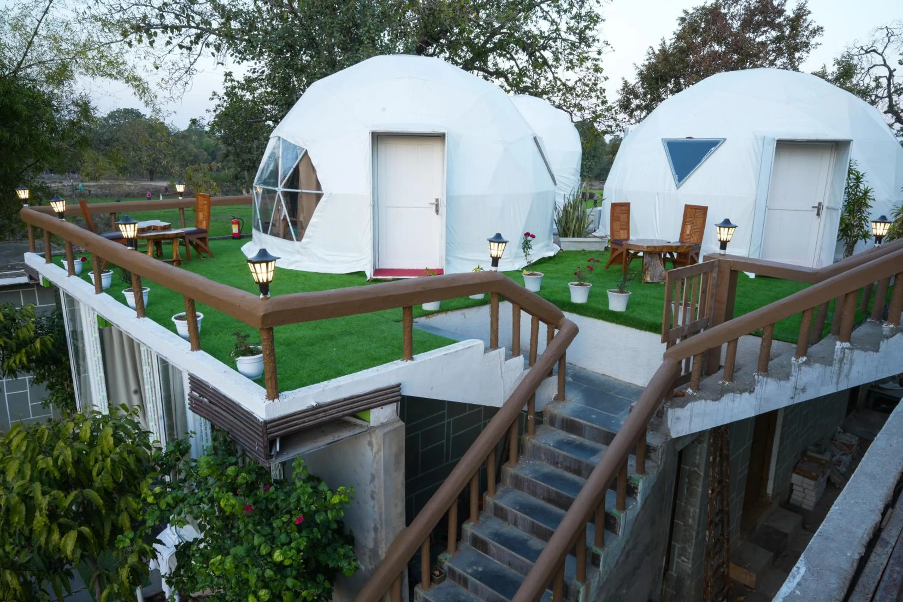 Natural landscape in Olive