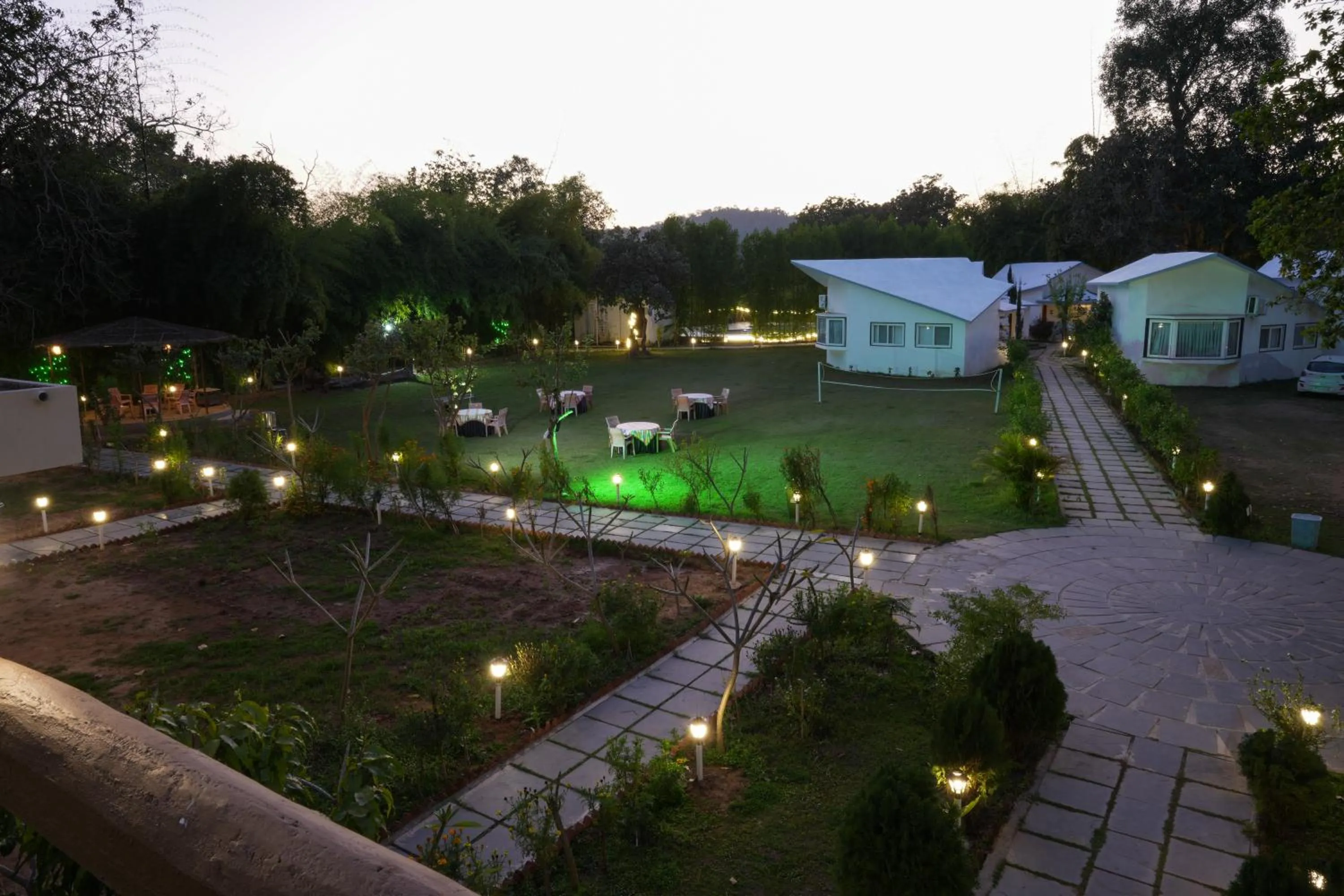 Bird's eye view in Olive