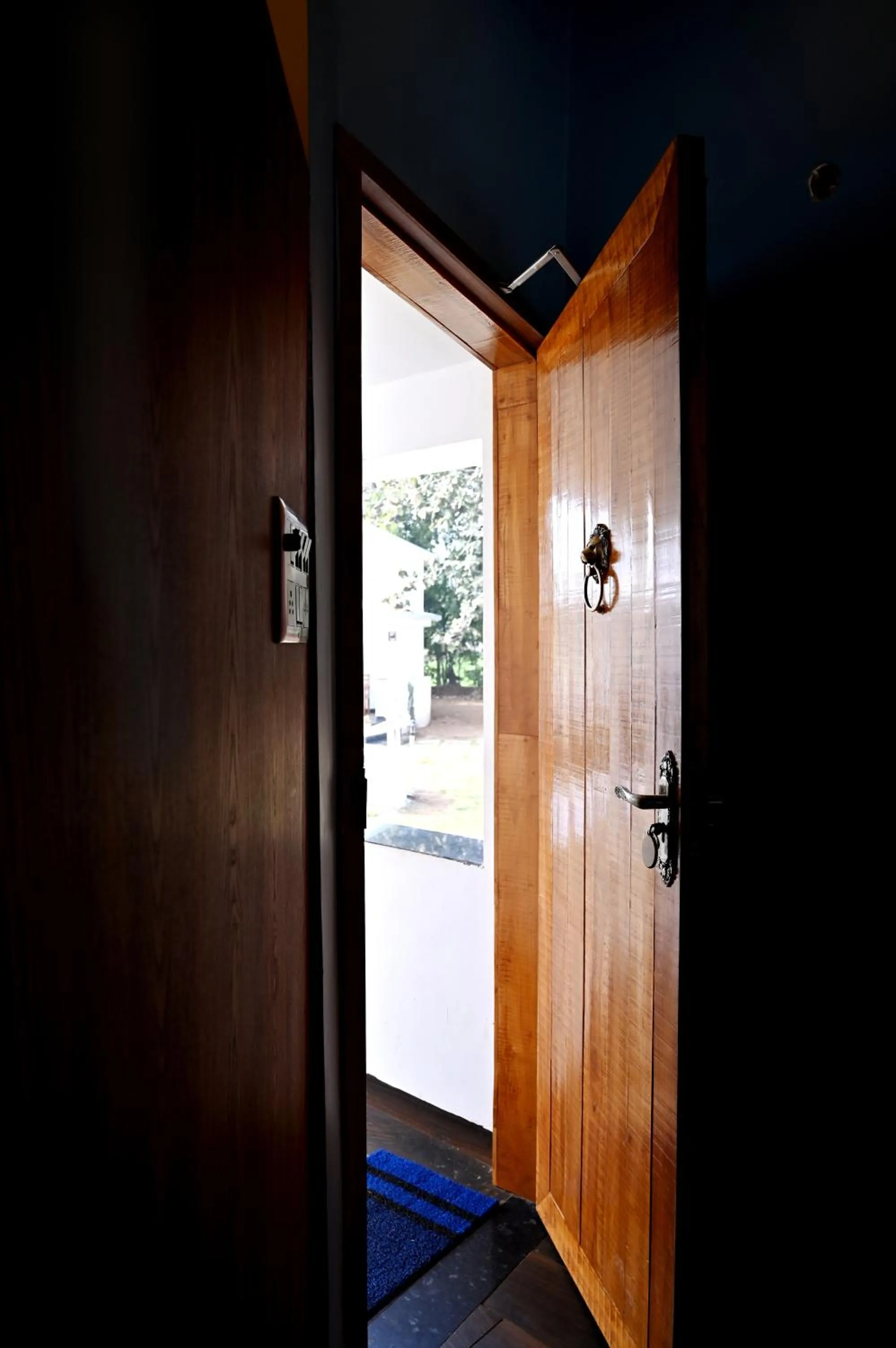 Facade/entrance in Olive