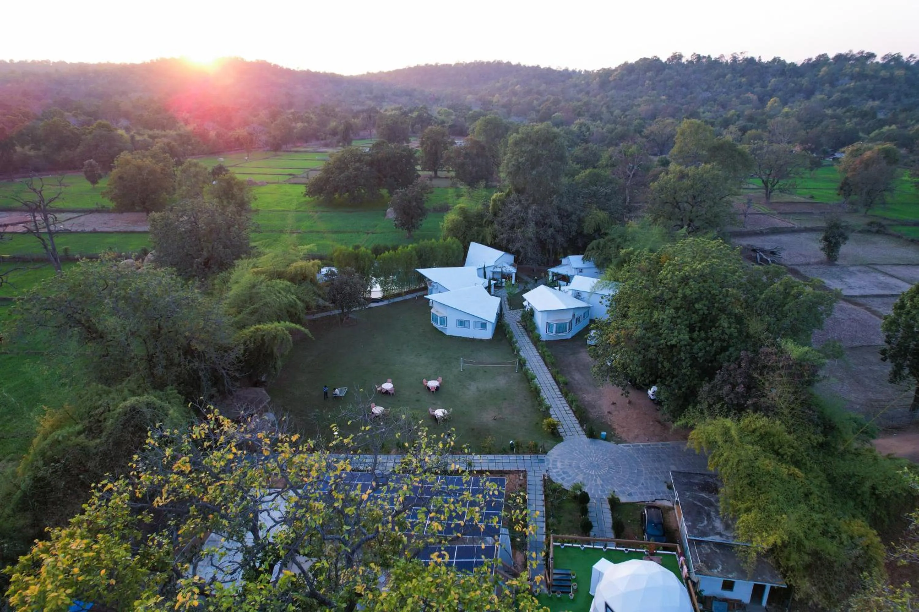 Natural landscape in Olive