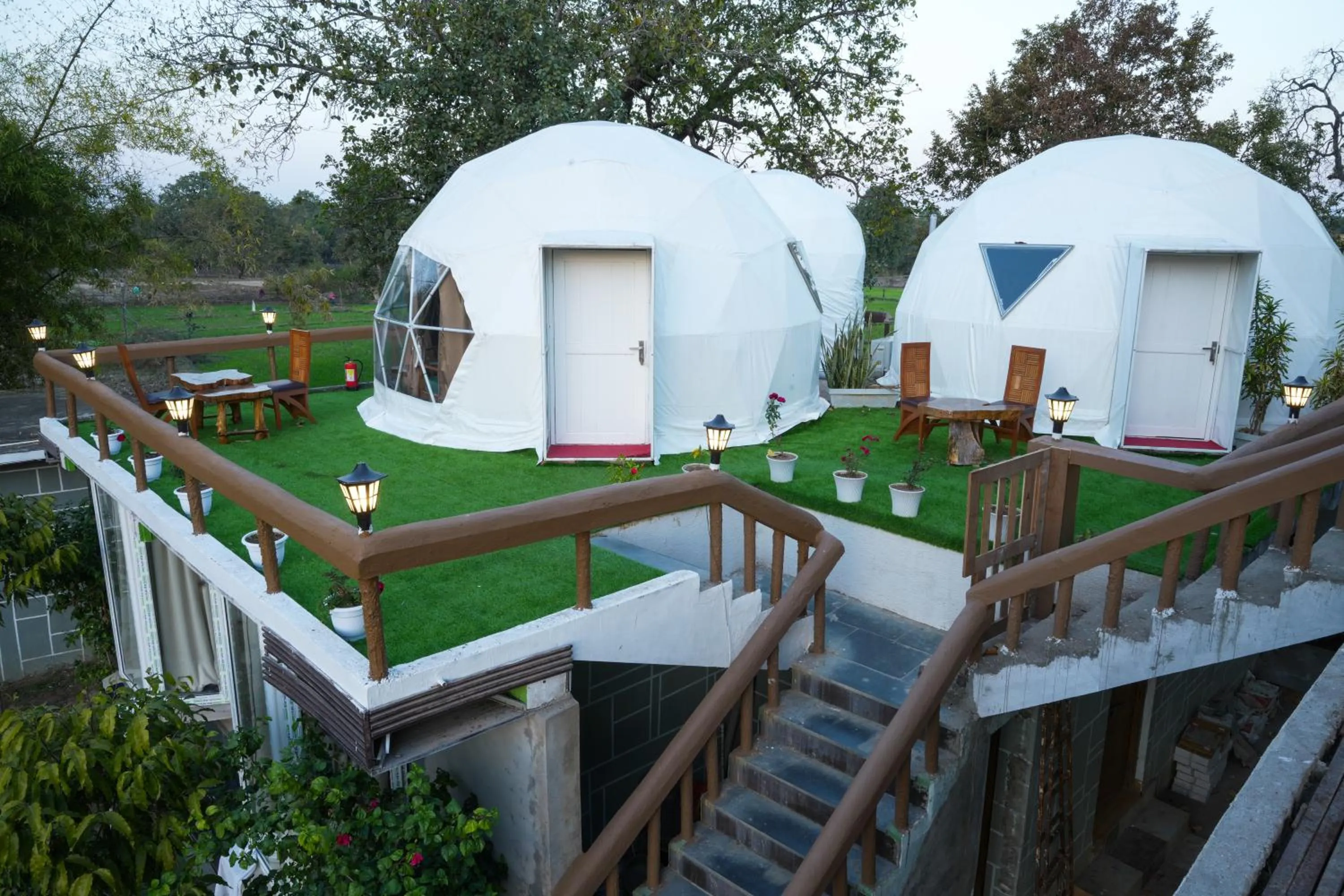 Natural landscape in Olive