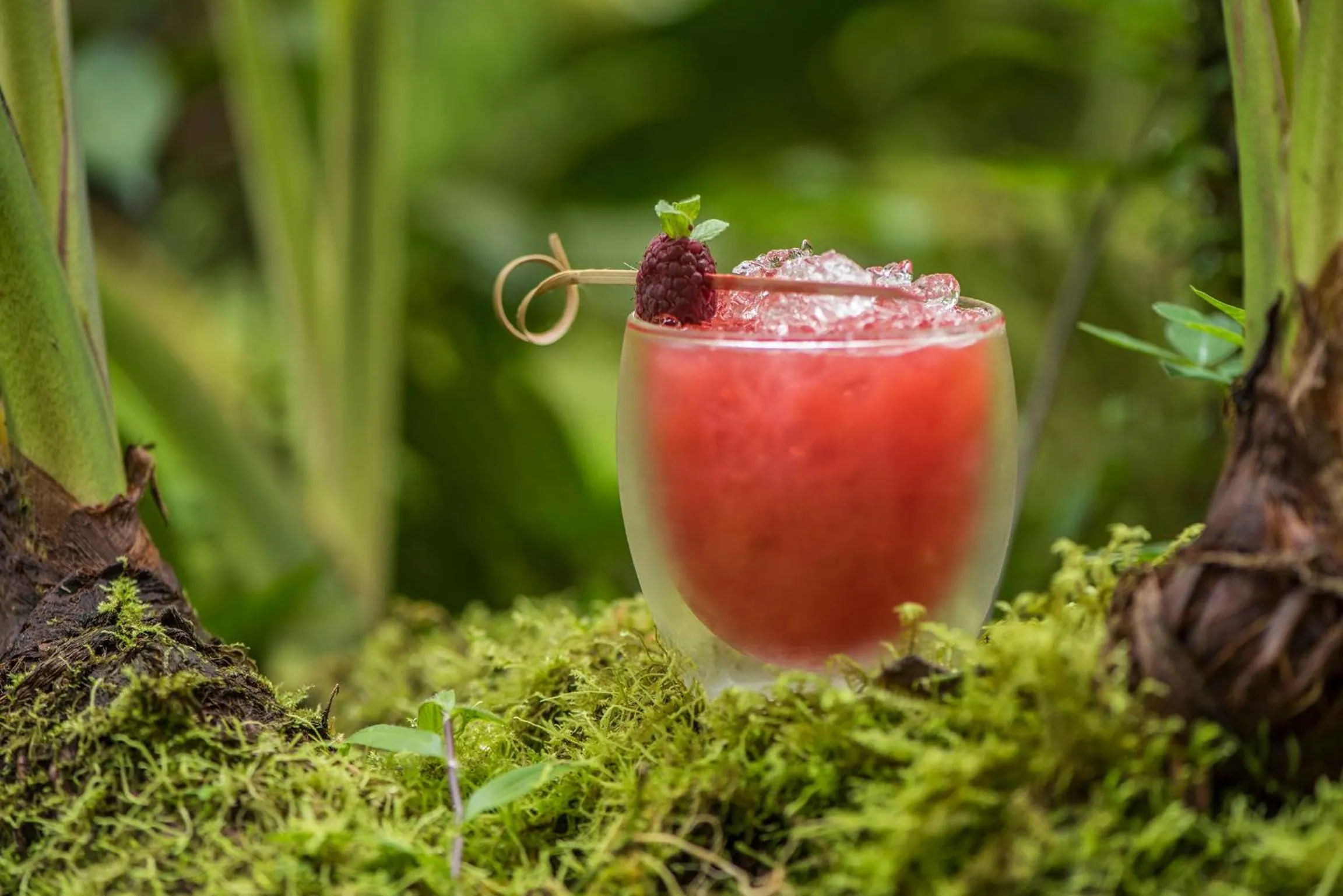 Alcoholic drinks in Mashpi Lodge