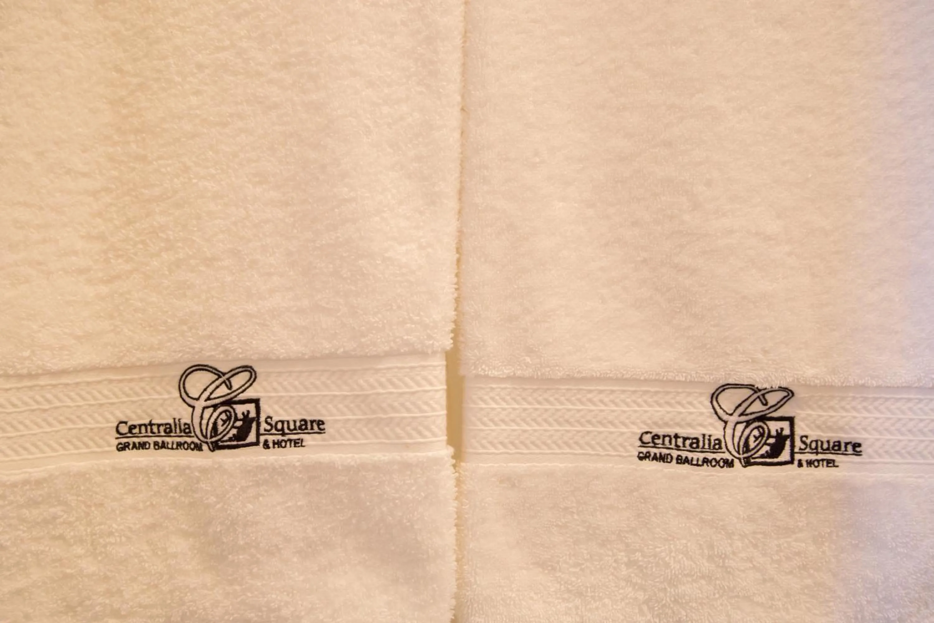 Centralia Square Grand Ballroom and Vintage Hotel