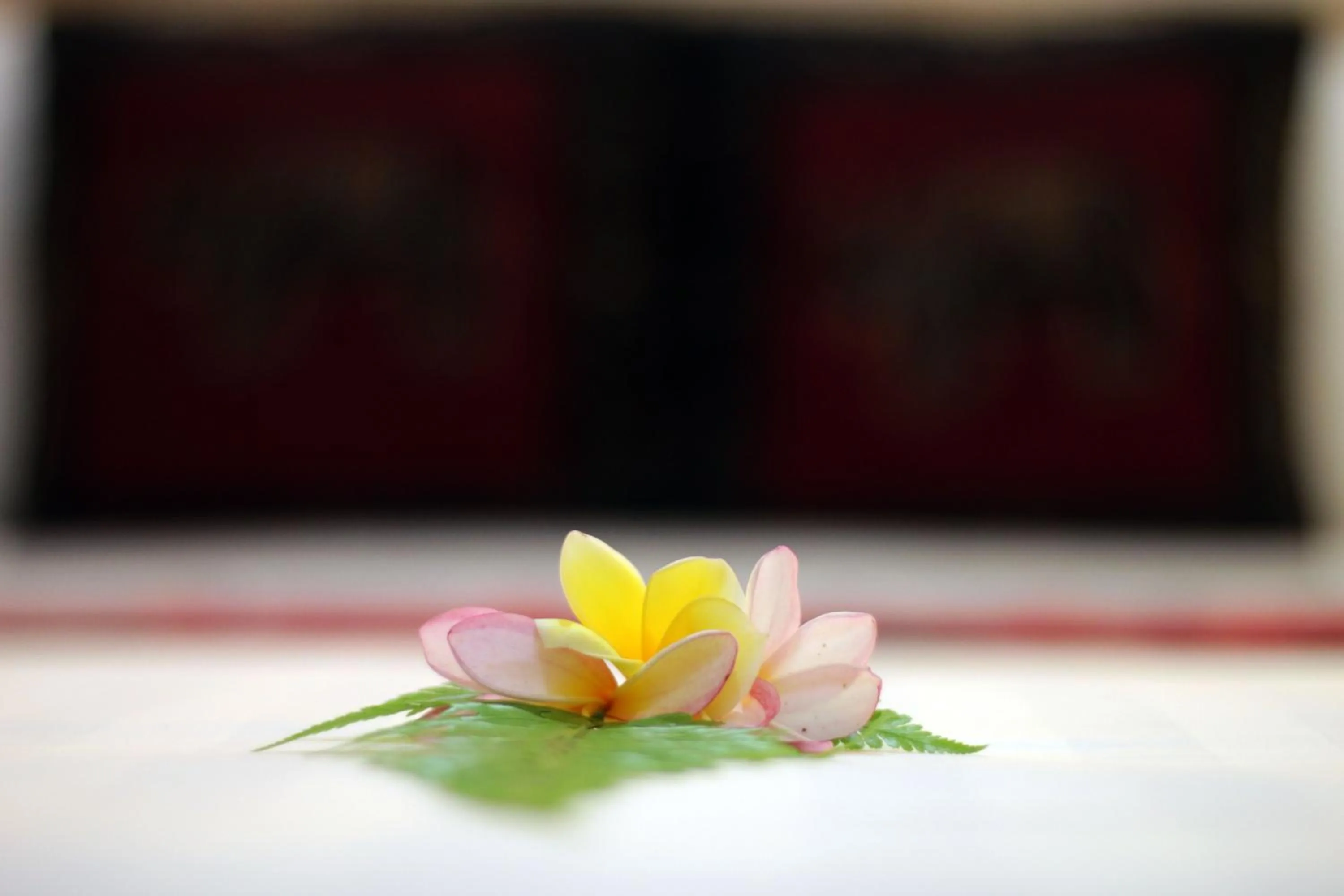 Decorative detail in Alam Terrace Cottages