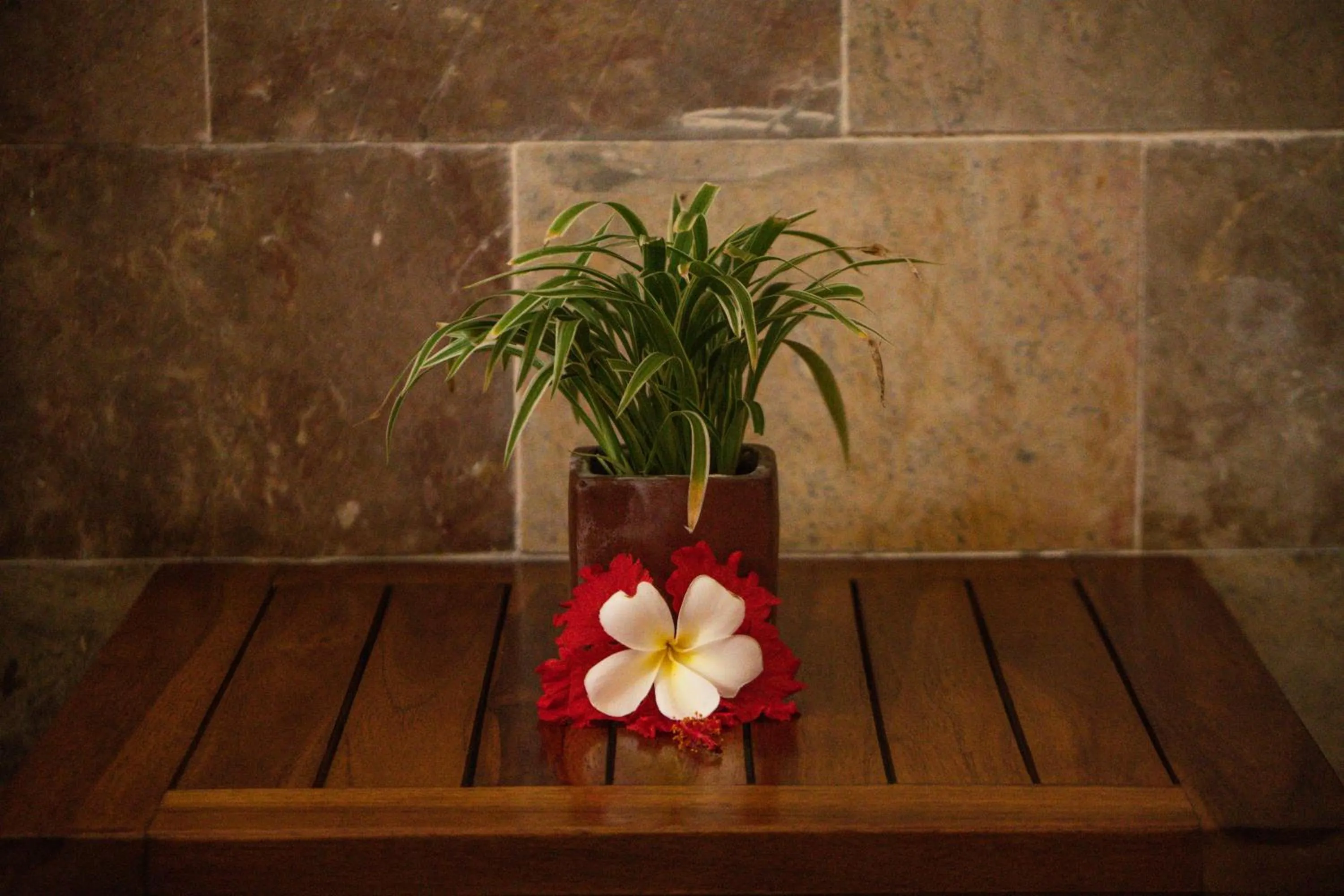 Bedroom in Alam Terrace Cottages