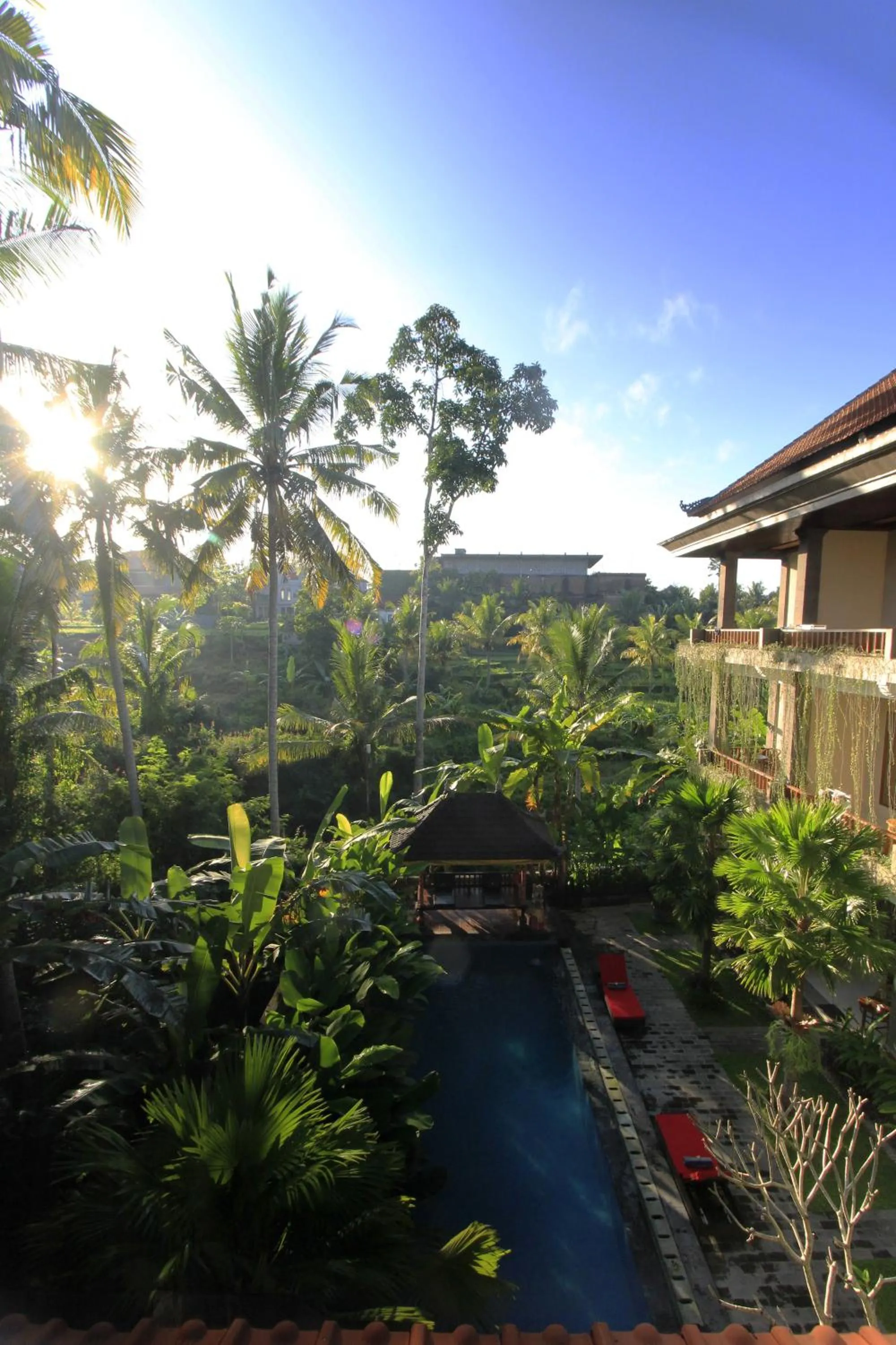 Swimming pool in Alam Terrace Cottages