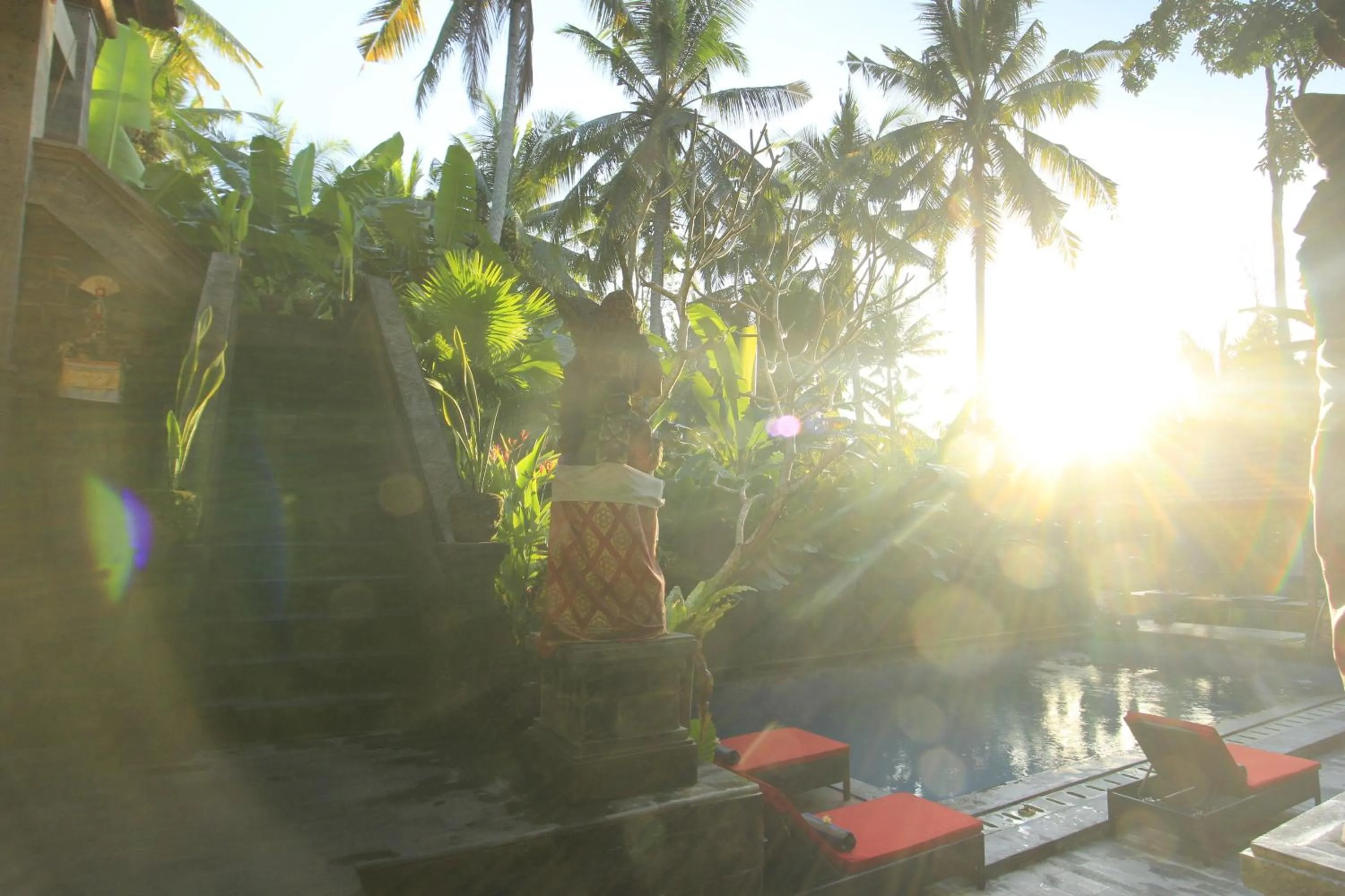 Day in Alam Terrace Cottages