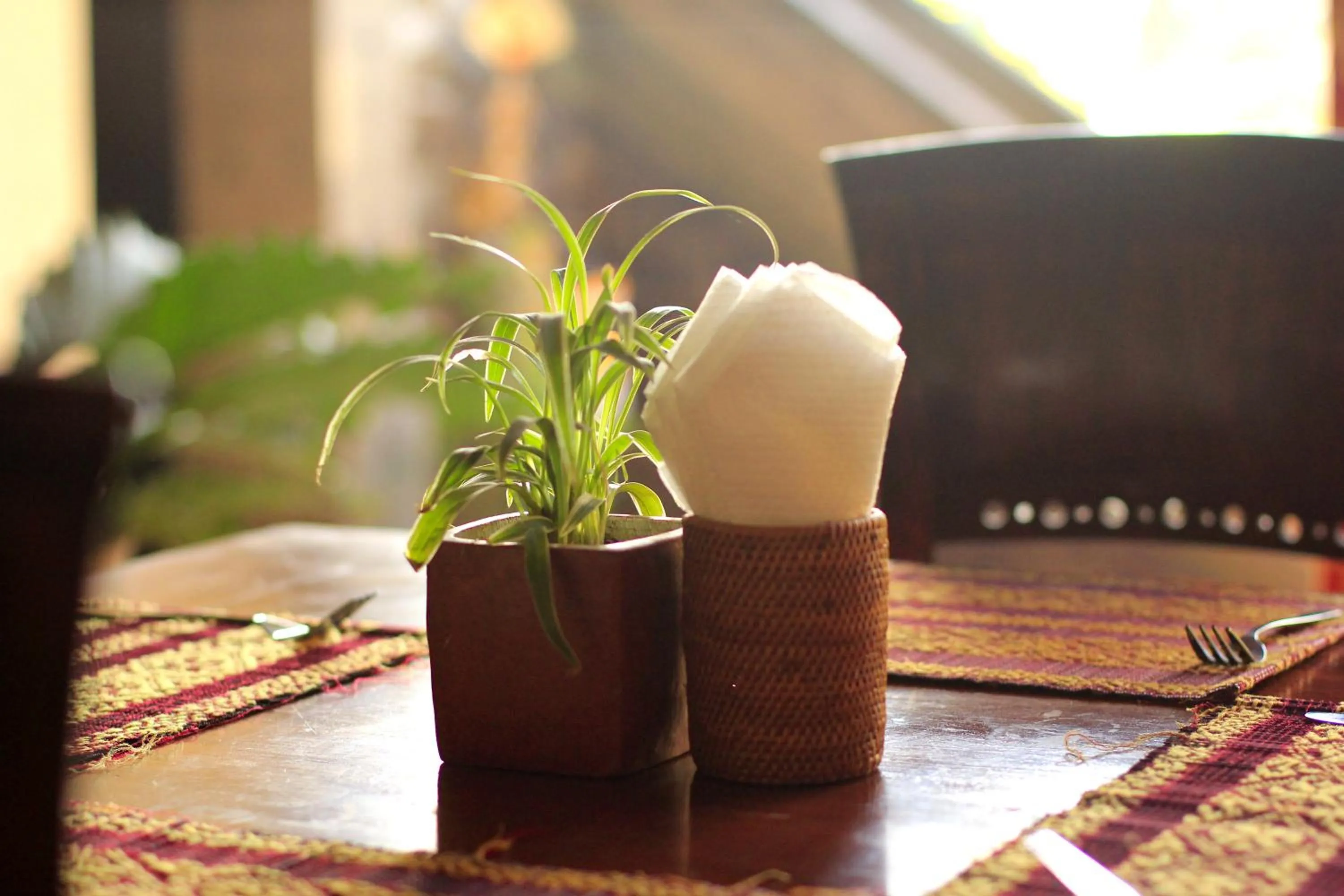 Day in Alam Terrace Cottages