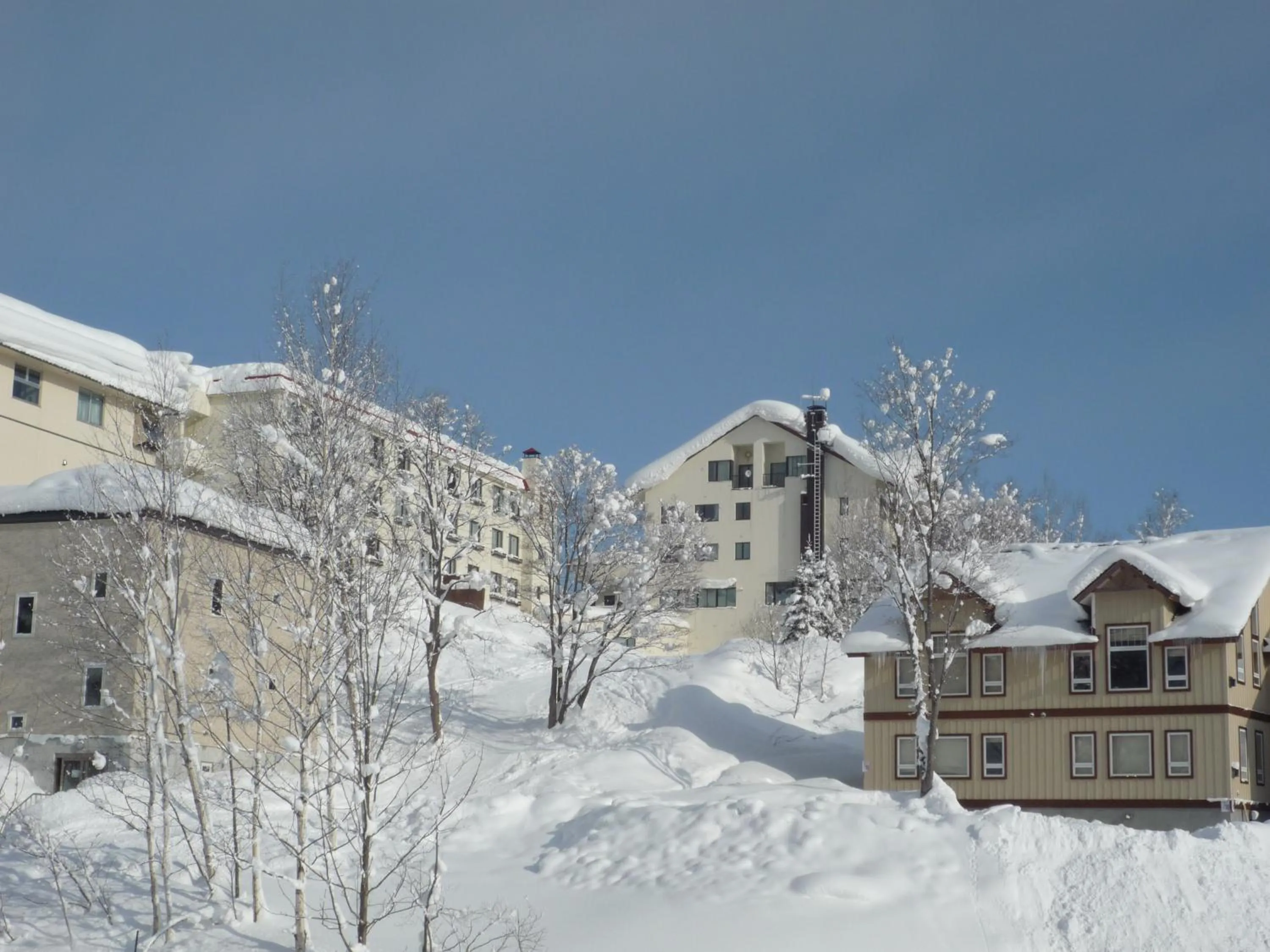 Facade/entrance in Niseko Park Hotel