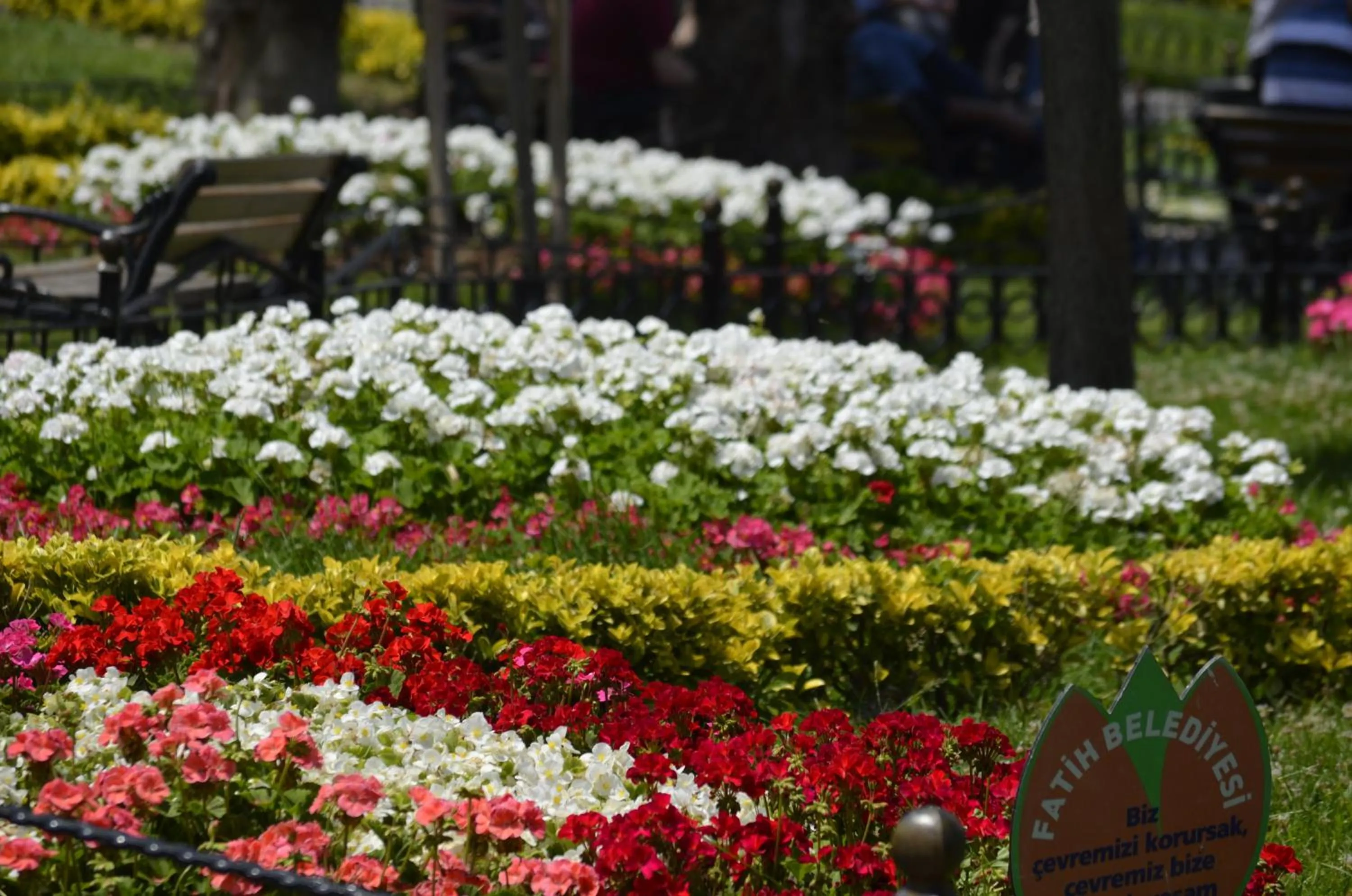 Garden in Hotel Ekol