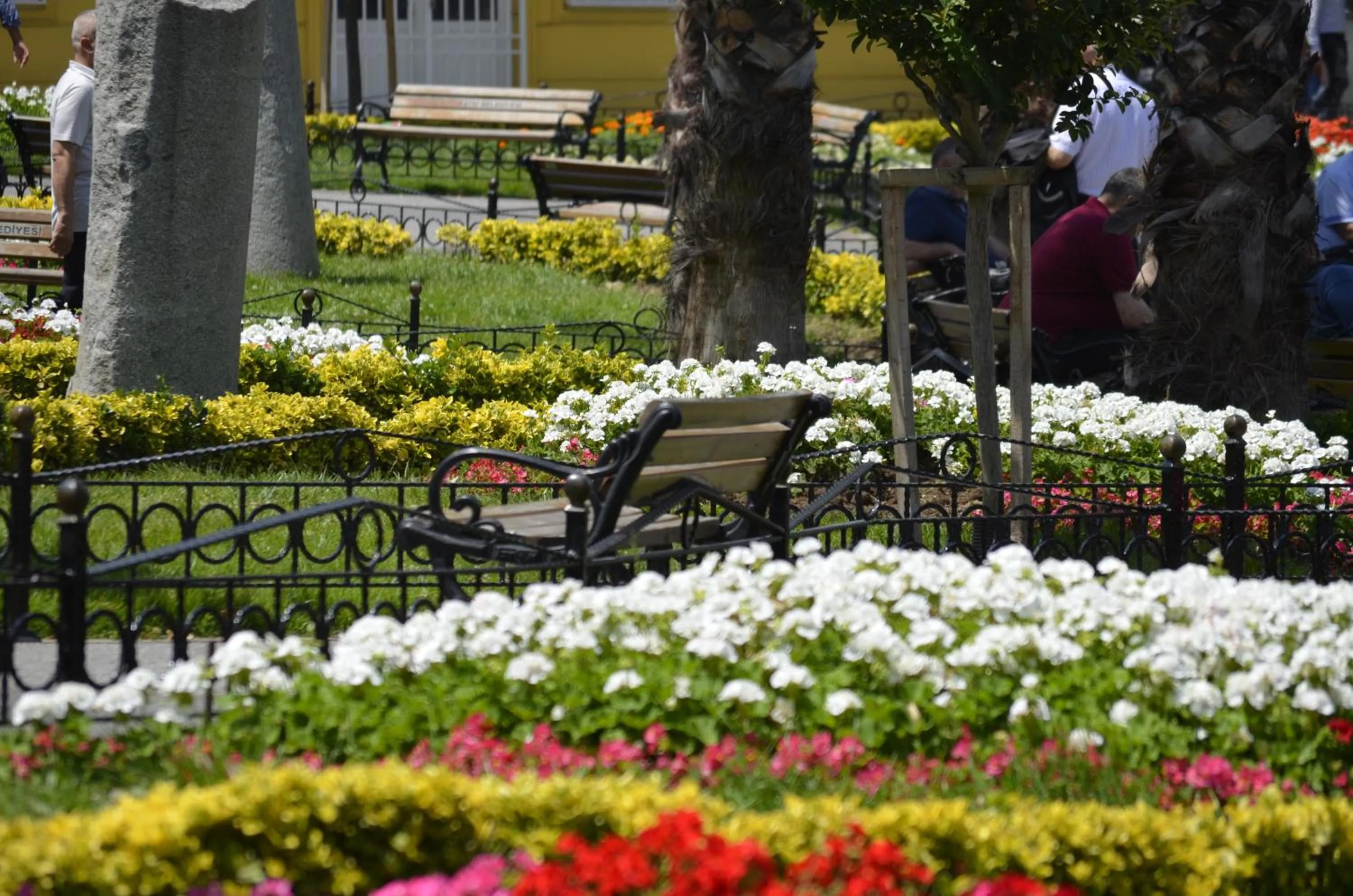 Natural landscape in Hotel Ekol