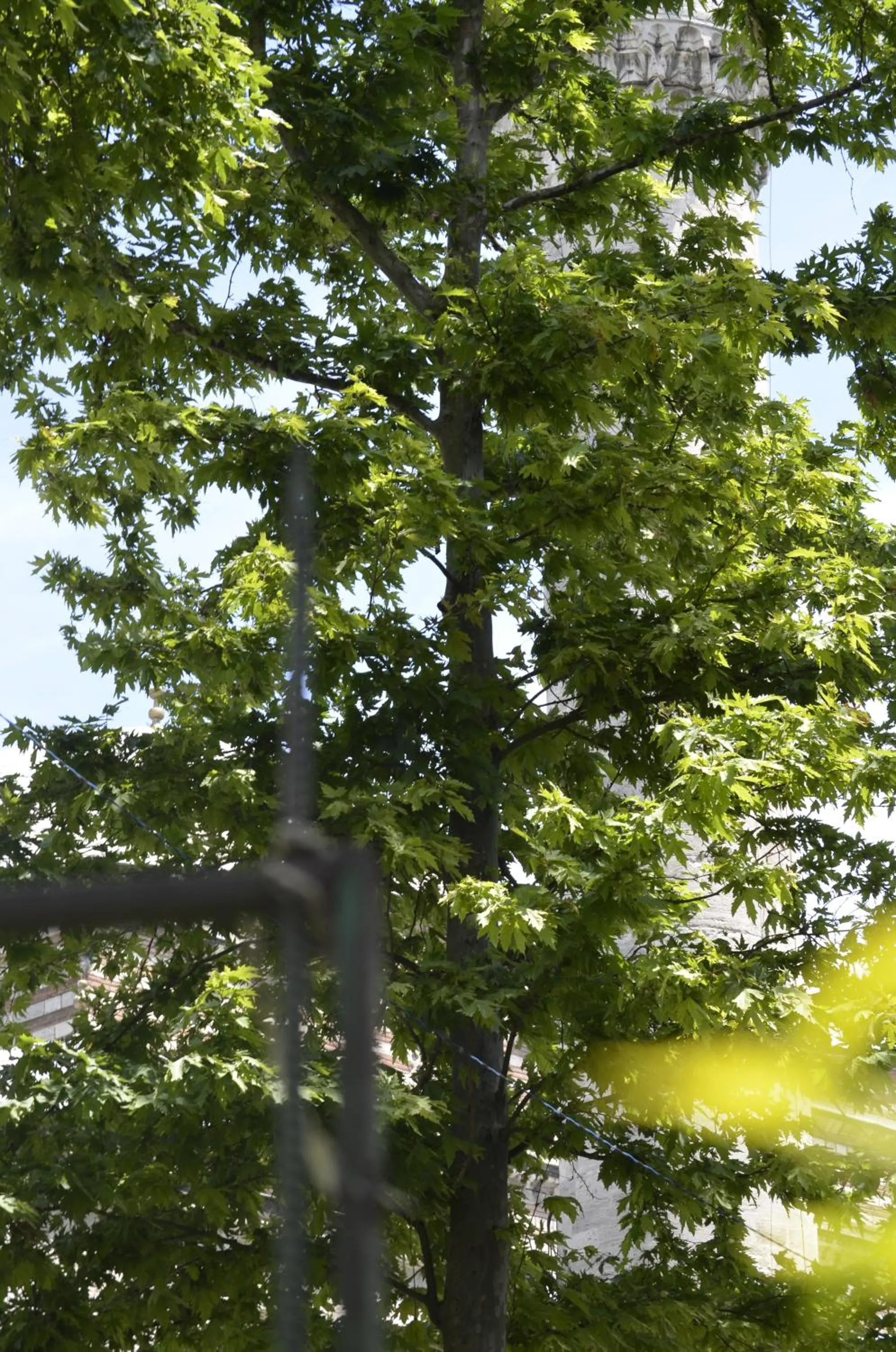 Natural landscape in Hotel Ekol