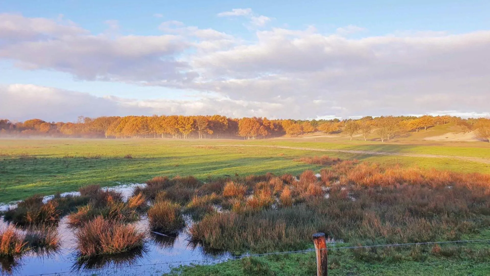 Day in Hotel Kijkduin