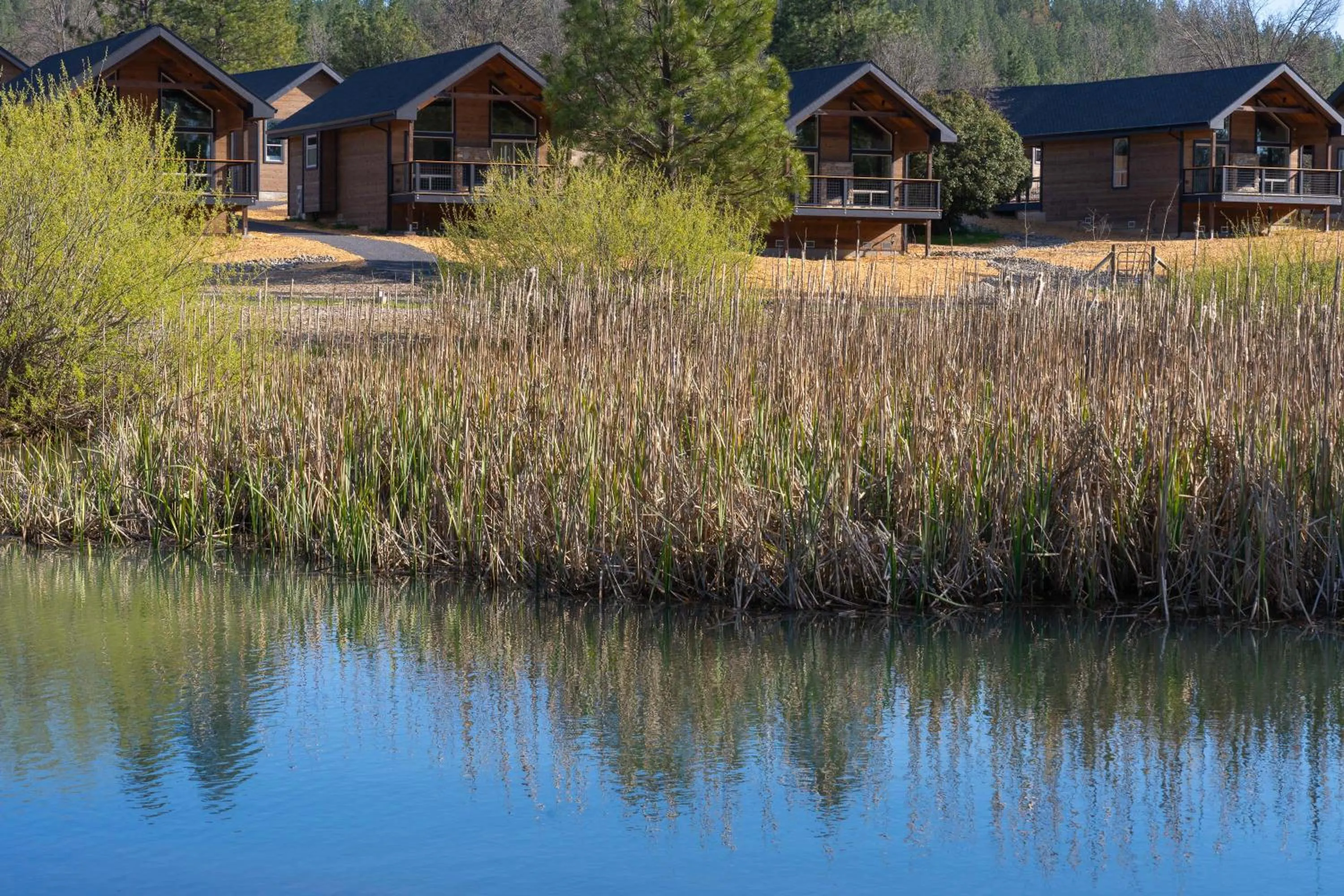 View (from property/room) in Firefall Ranch Yosemite