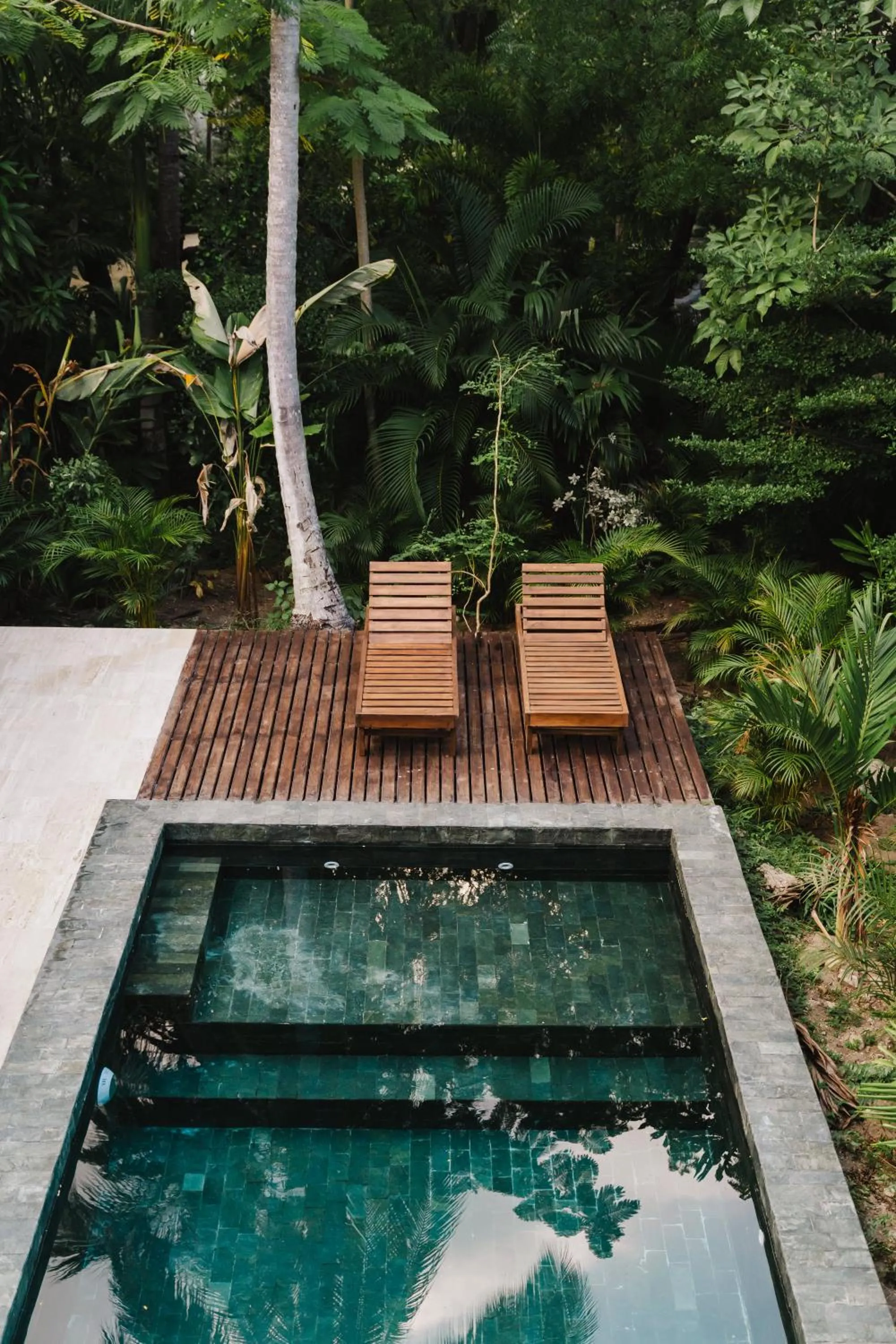 Garden in Naio Hotel y Villas By OxoHotel