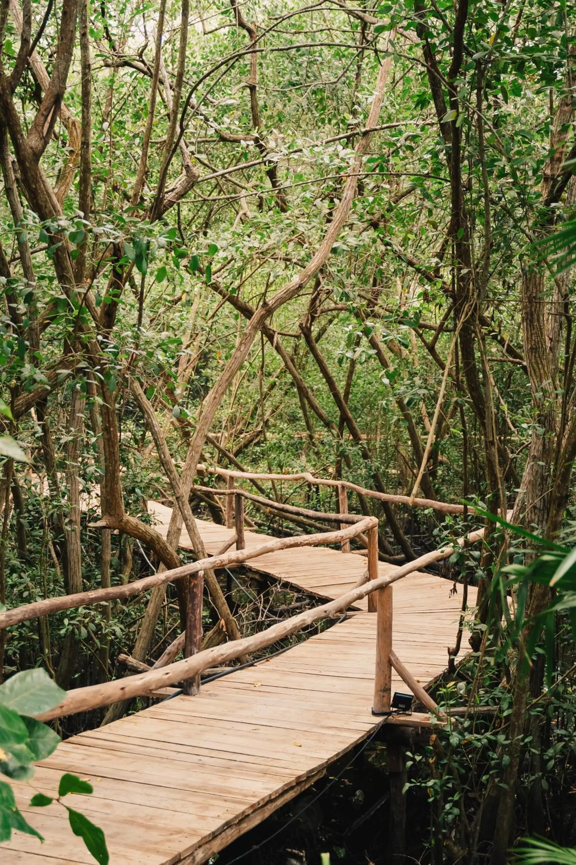 Seating area in Naio Hotel y Villas By OxoHotel