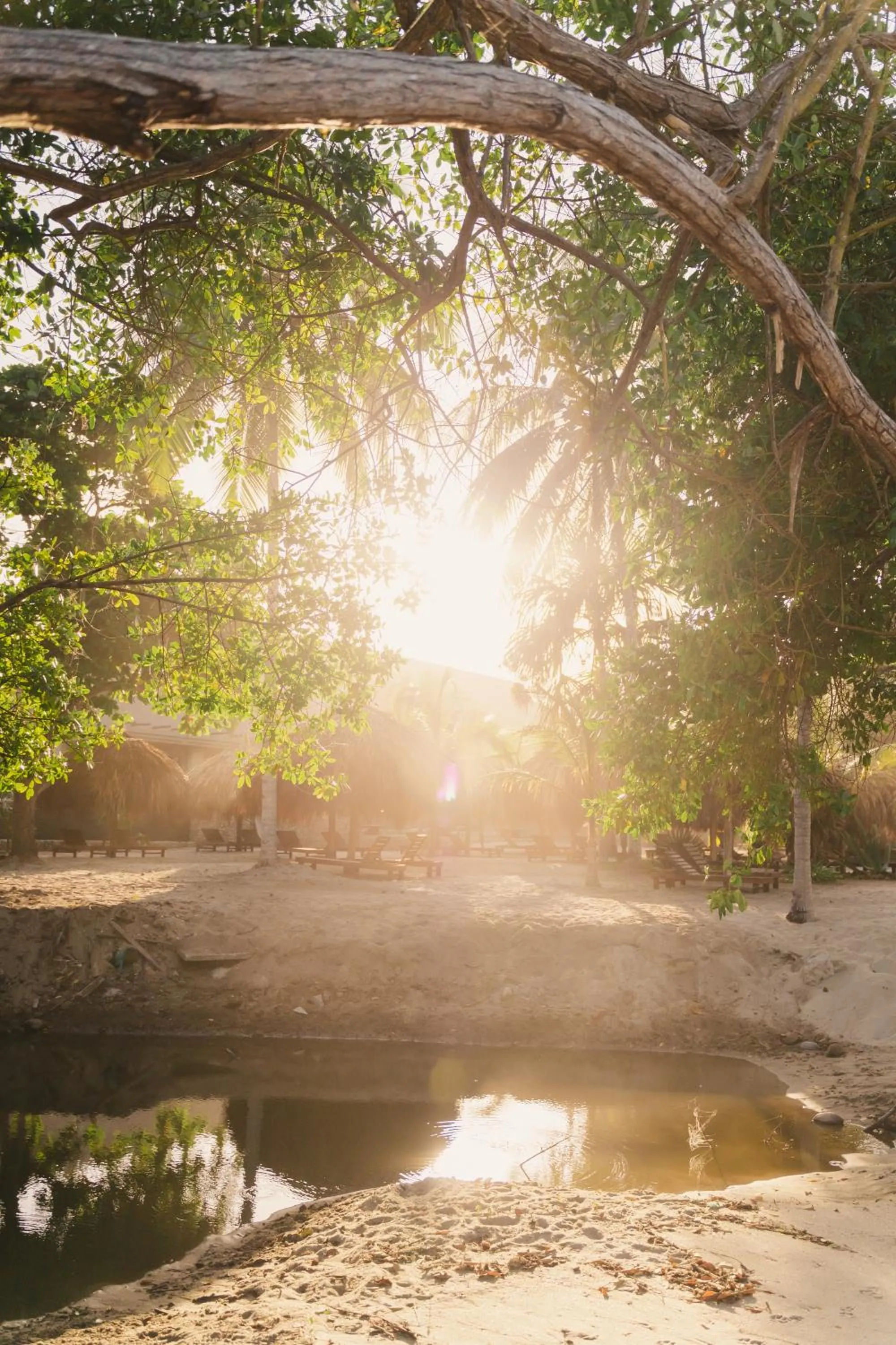 Beach in Naio Hotel y Villas By OxoHotel