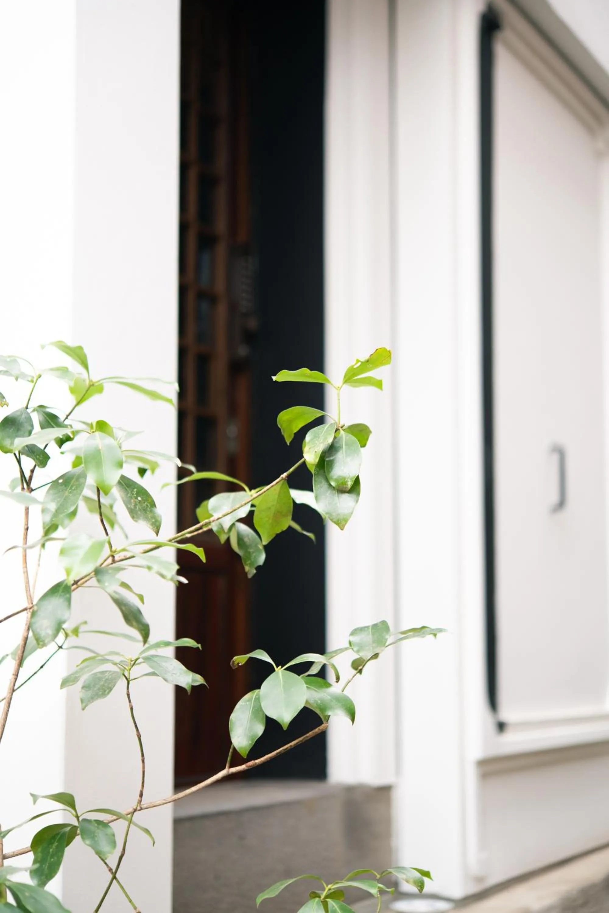 Property building in Nunoya Ryokan