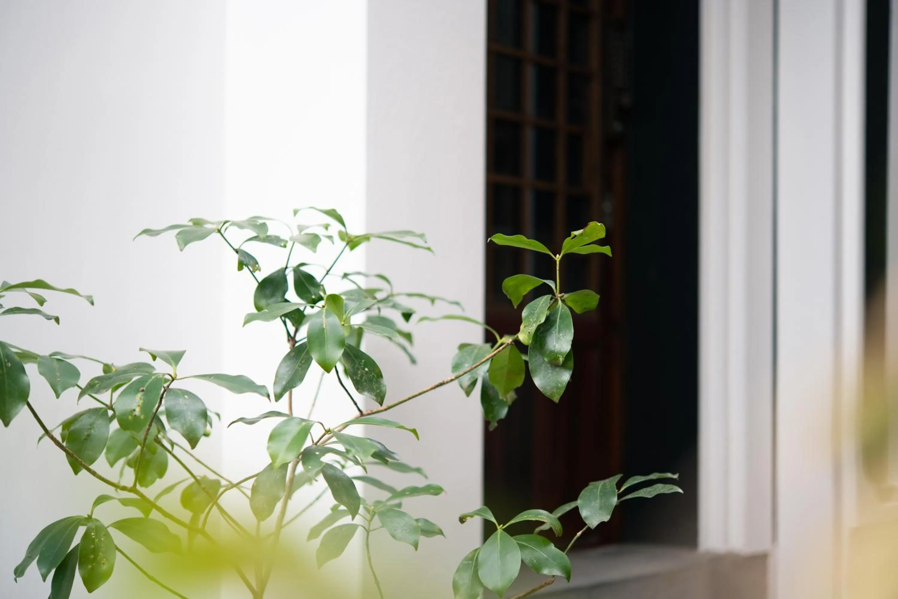 Property building in Nunoya Ryokan