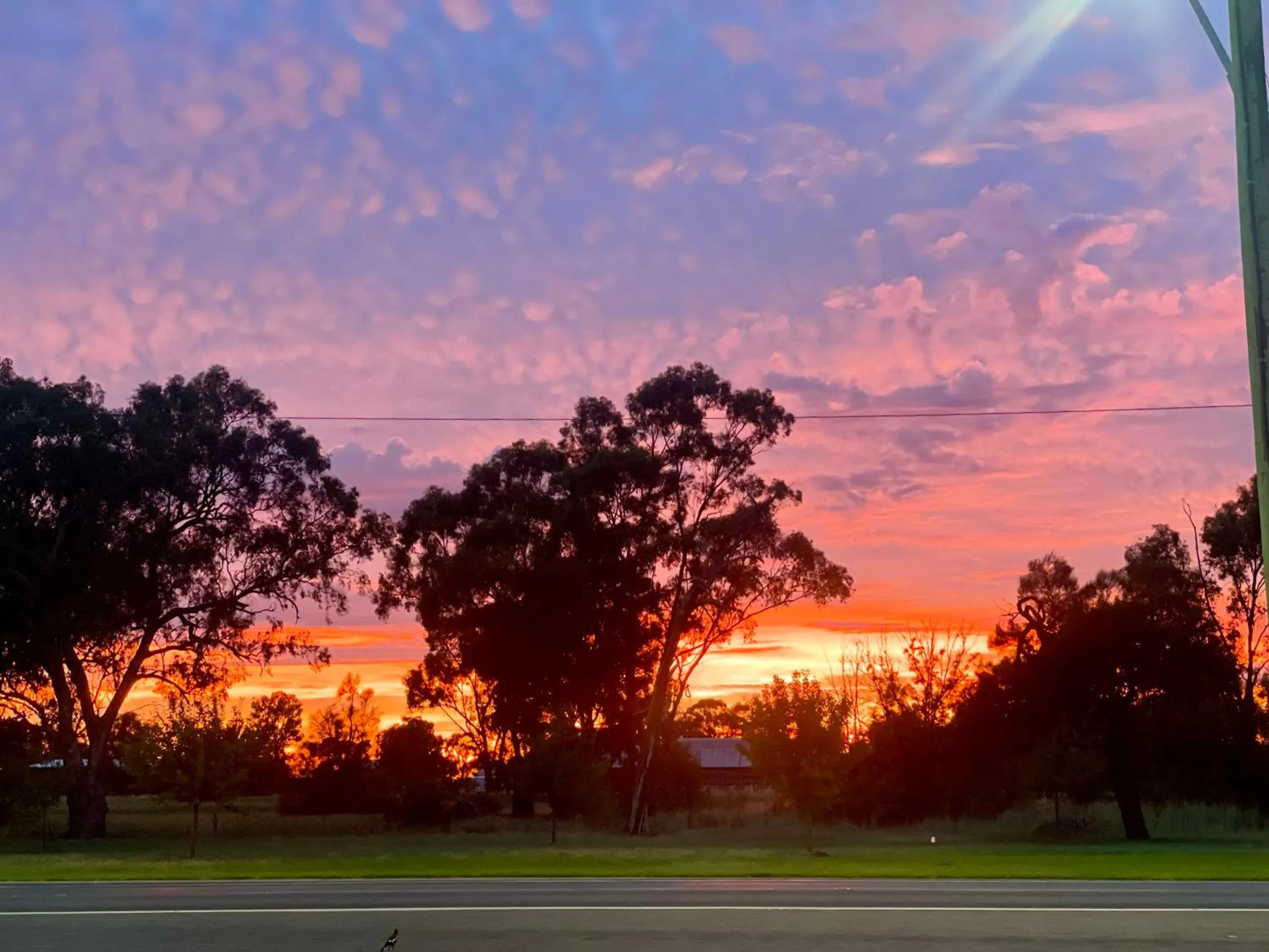 Natural landscape in Century Motor Inn, Finley