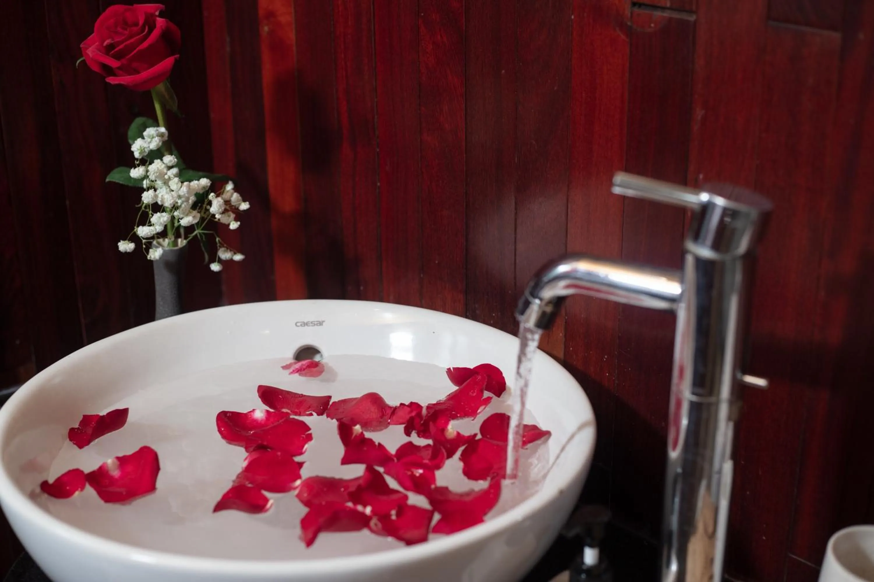 Bathroom in Ruby Cruise