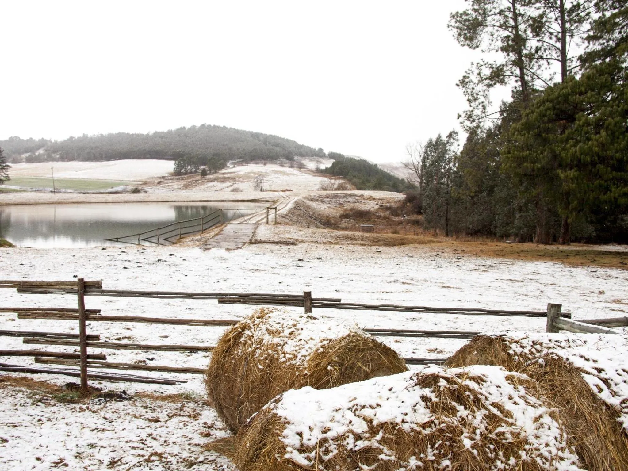 Natural landscape in Whispering Waters
