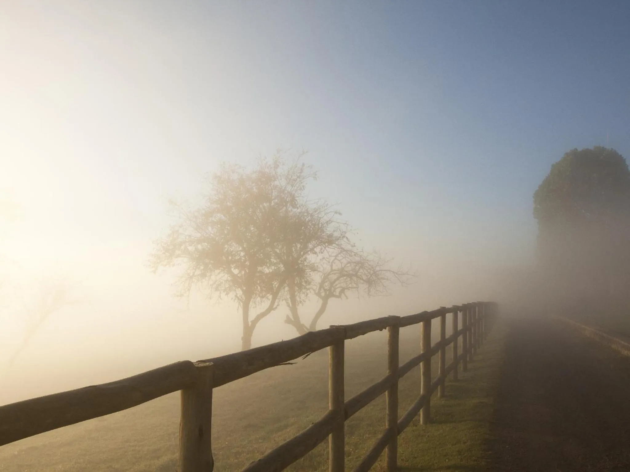 Natural landscape in Whispering Waters