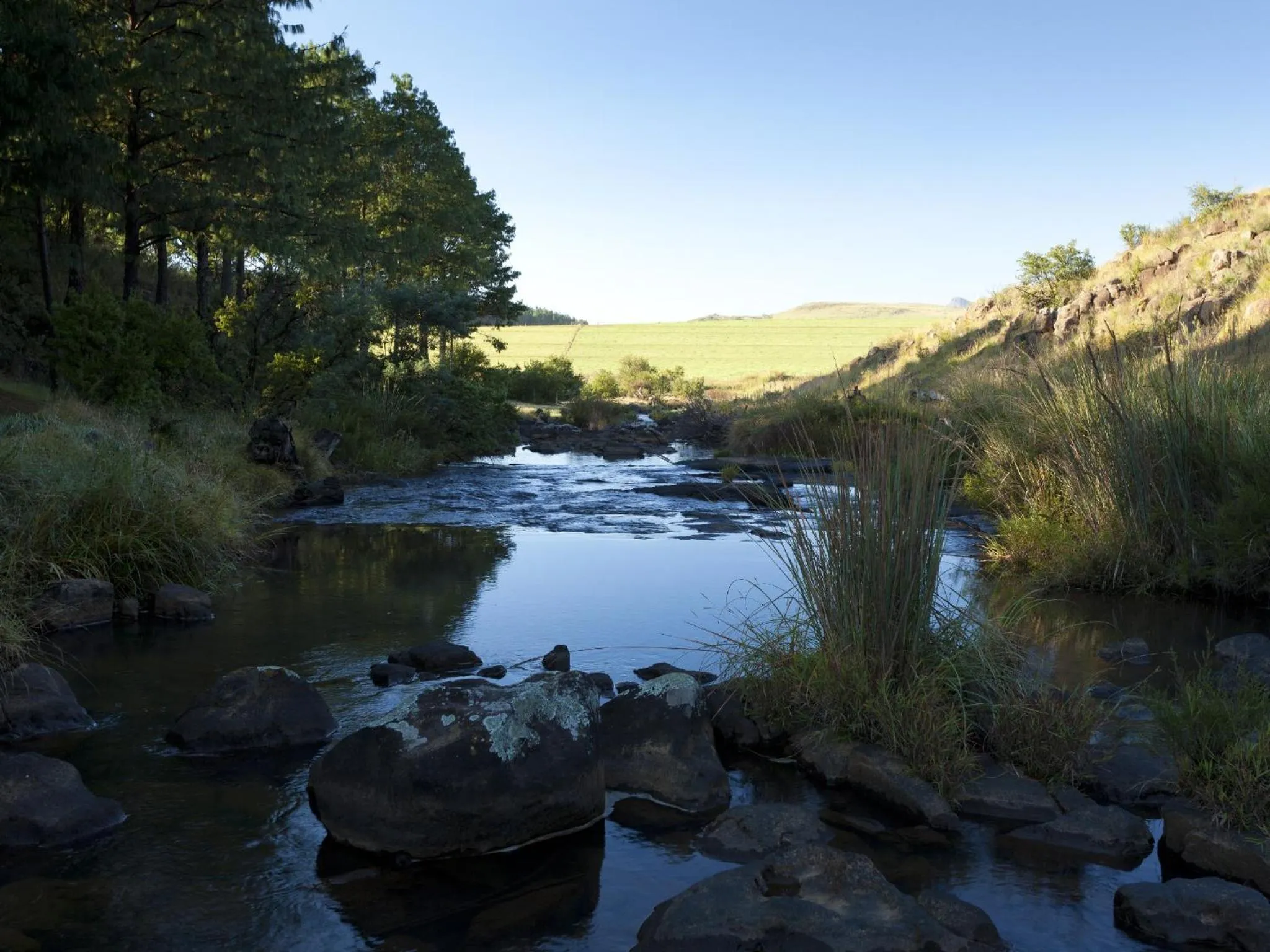 Natural landscape in Whispering Waters