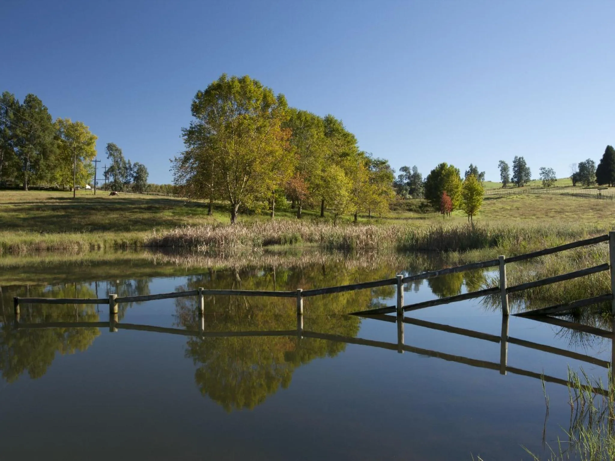Summer in Whispering Waters