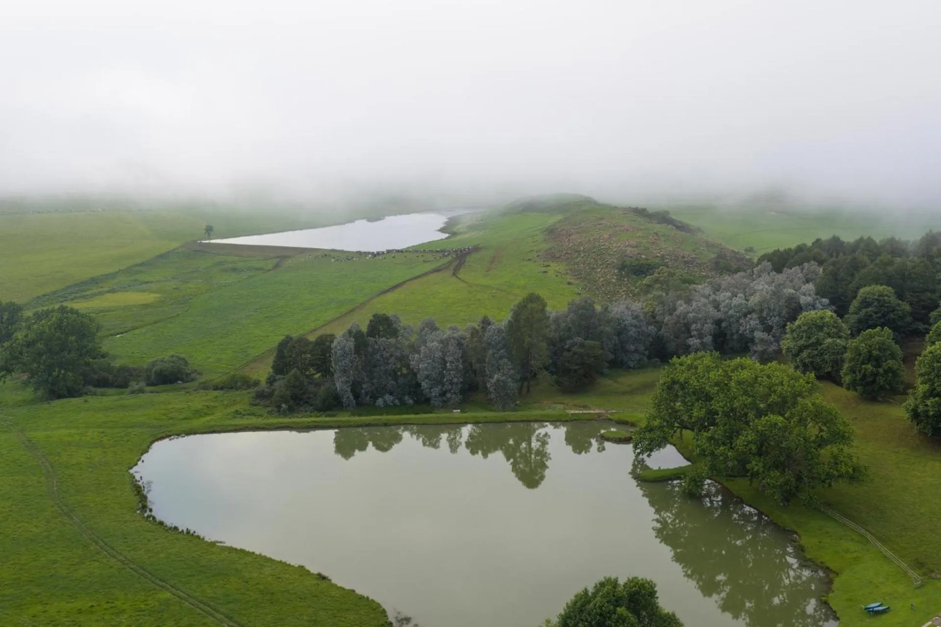 Natural landscape in Whispering Waters