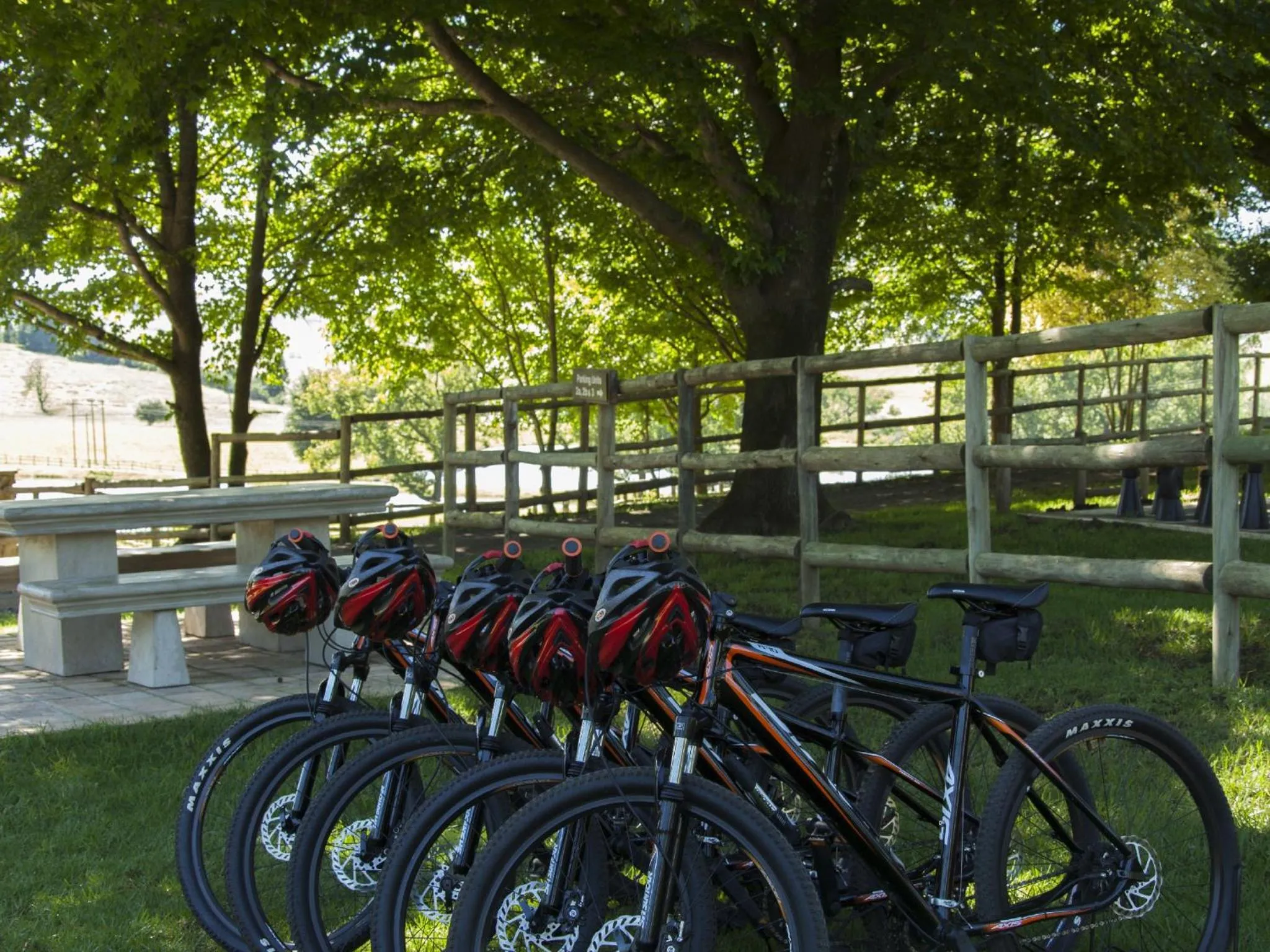 Cycling in Whispering Waters