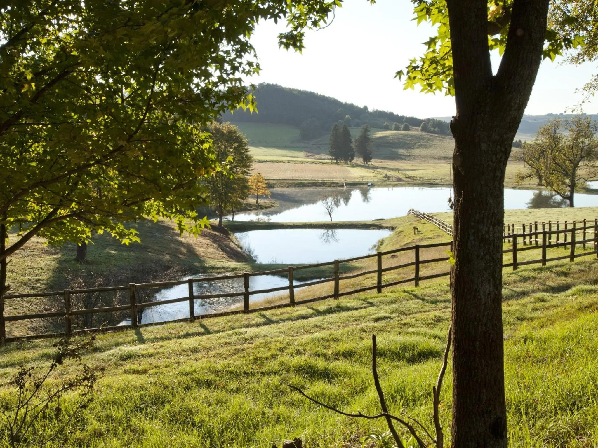 Natural landscape in Whispering Waters