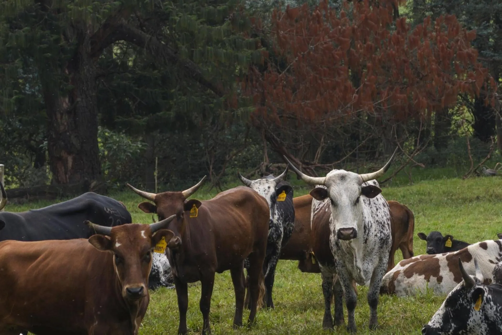 Day in Whispering Waters