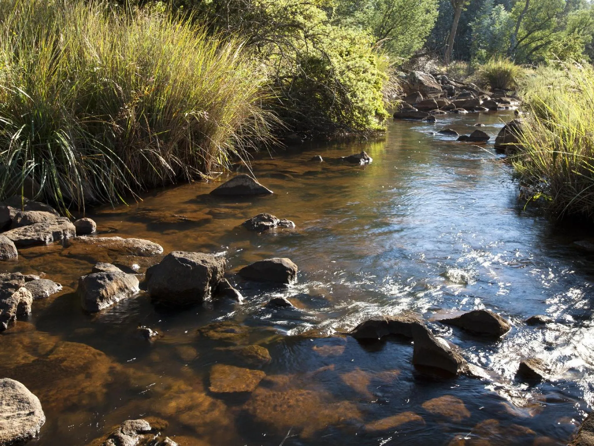 Natural landscape in Whispering Waters