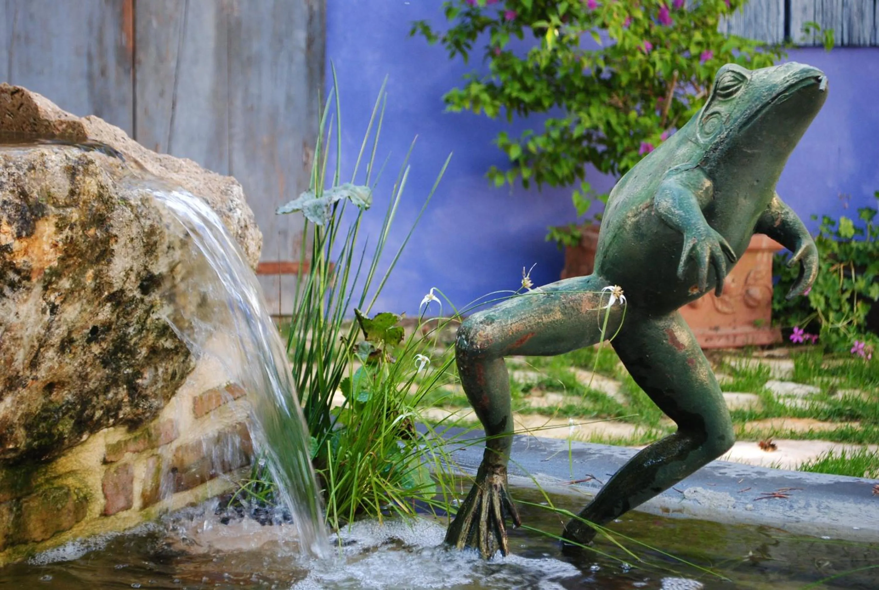 Garden in Ca'Bevilacqua Bed&Breakfast