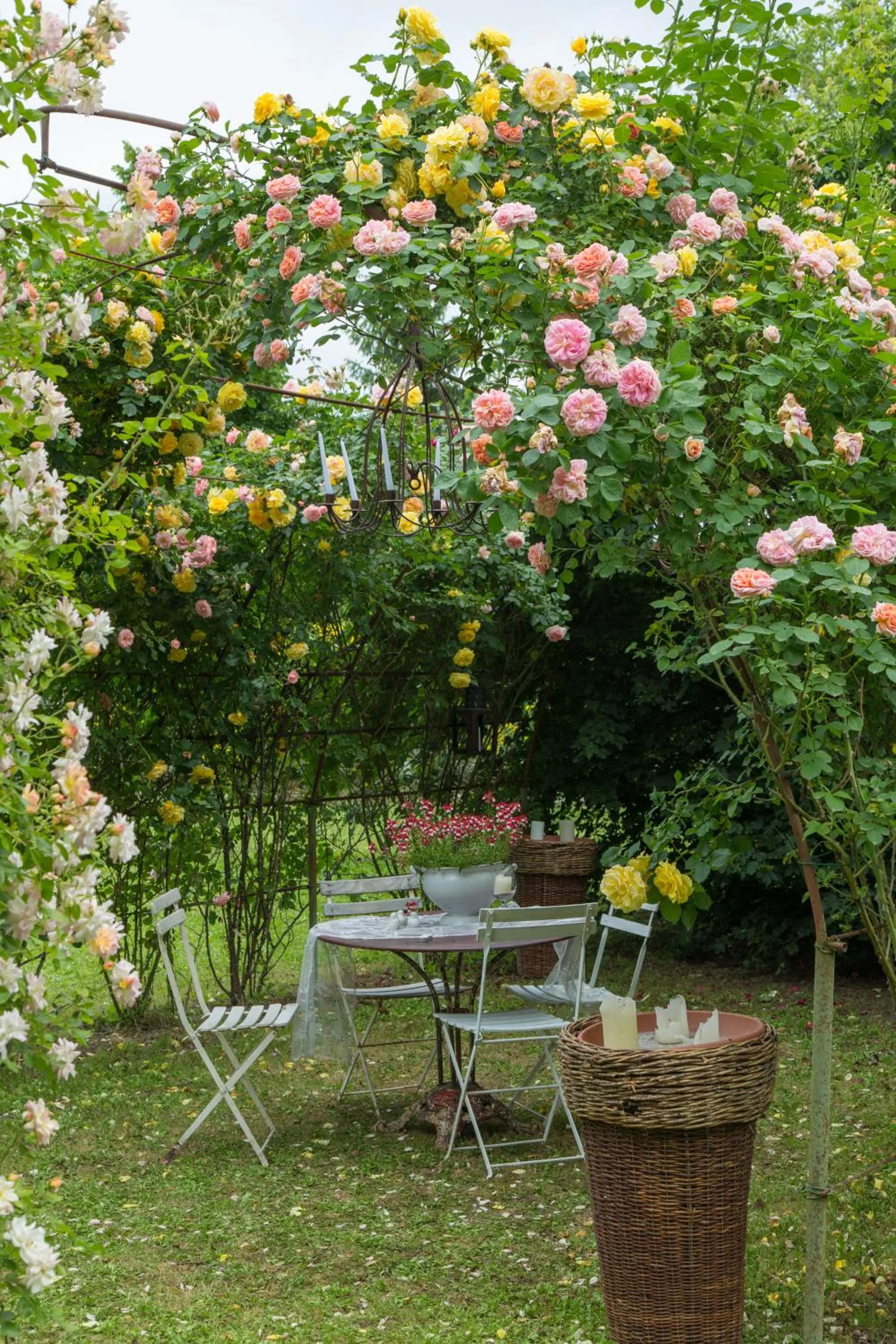 Garden in Ca'Bevilacqua Bed&Breakfast