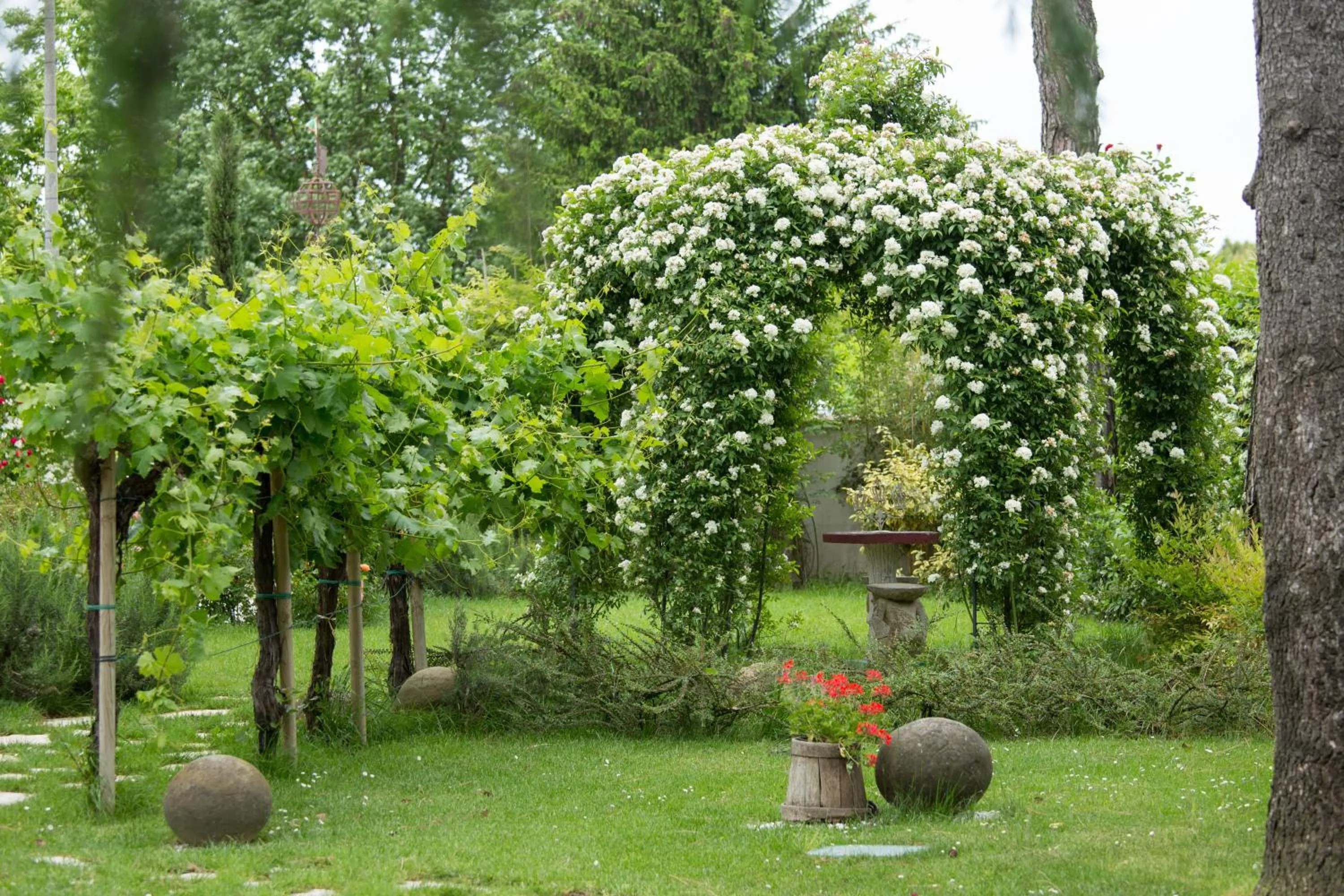 Garden in Ca'Bevilacqua Bed&Breakfast