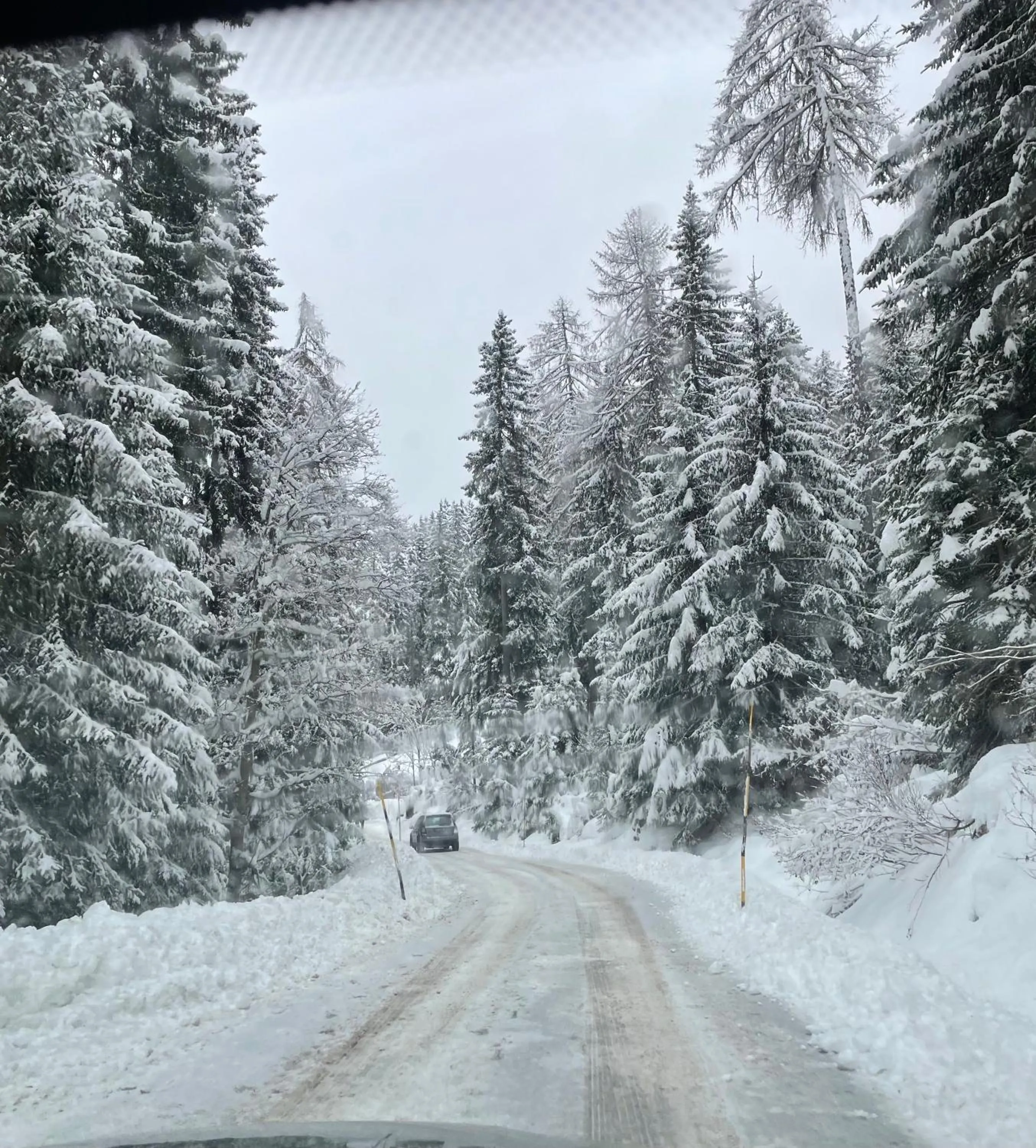 Natural landscape in Sole Alto Marilleva