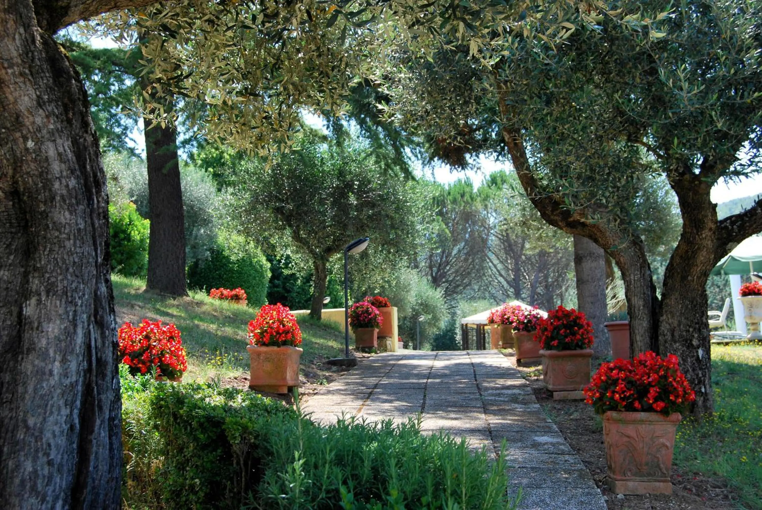 Garden in Bed and Breakfast Albe