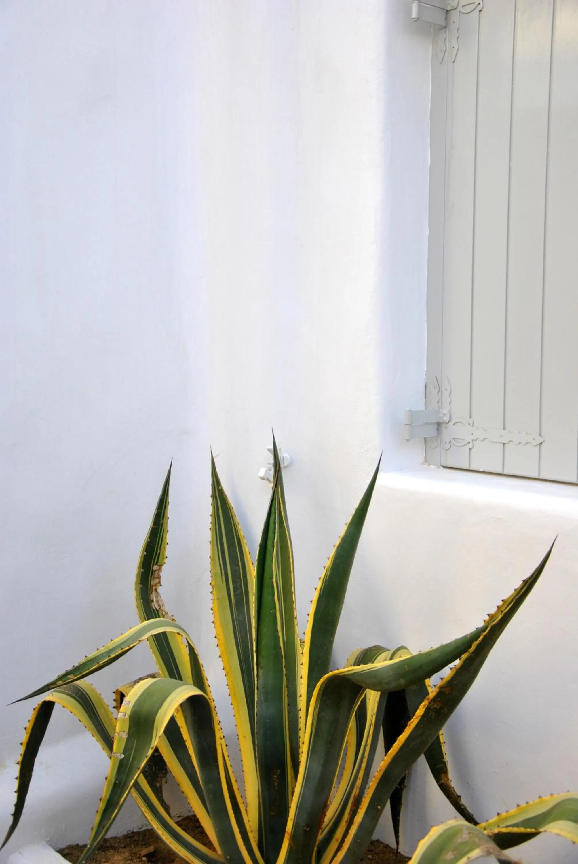 Area and facilities in Riva Suites - Adults Only