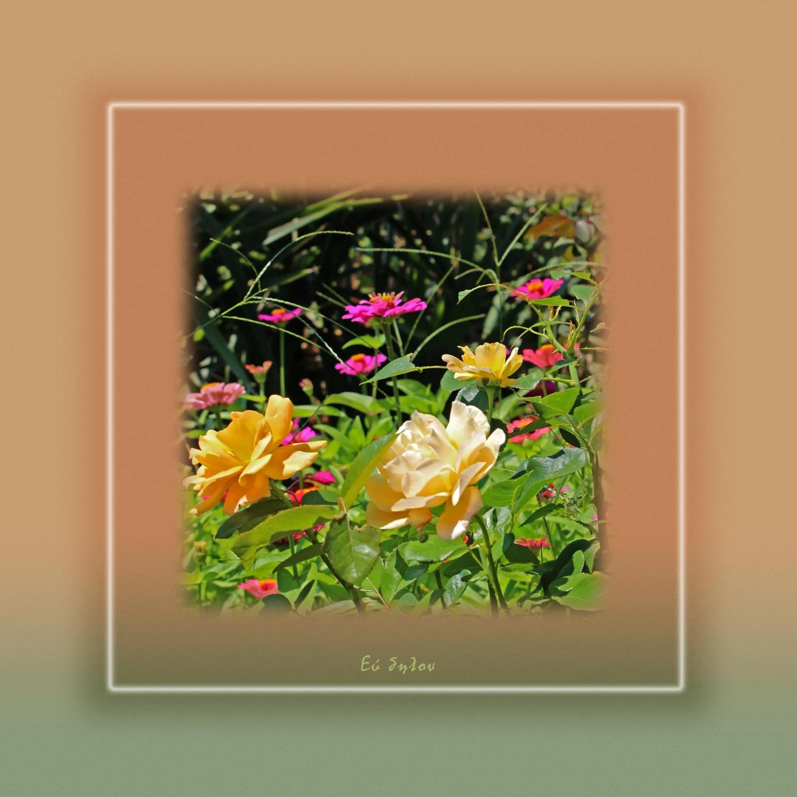 Ikaria Utopia - Cusco Studios