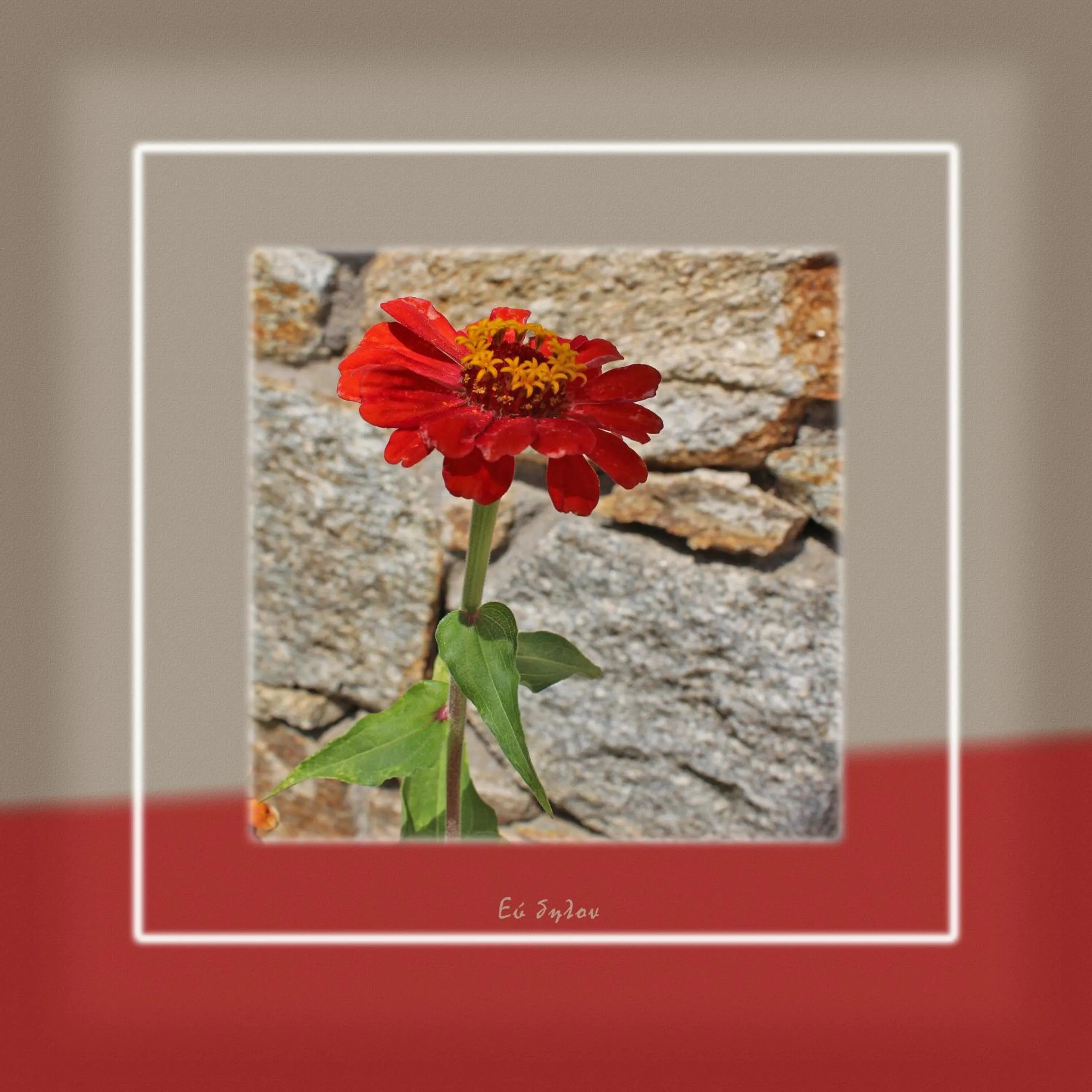 Ikaria Utopia - Cusco Studios