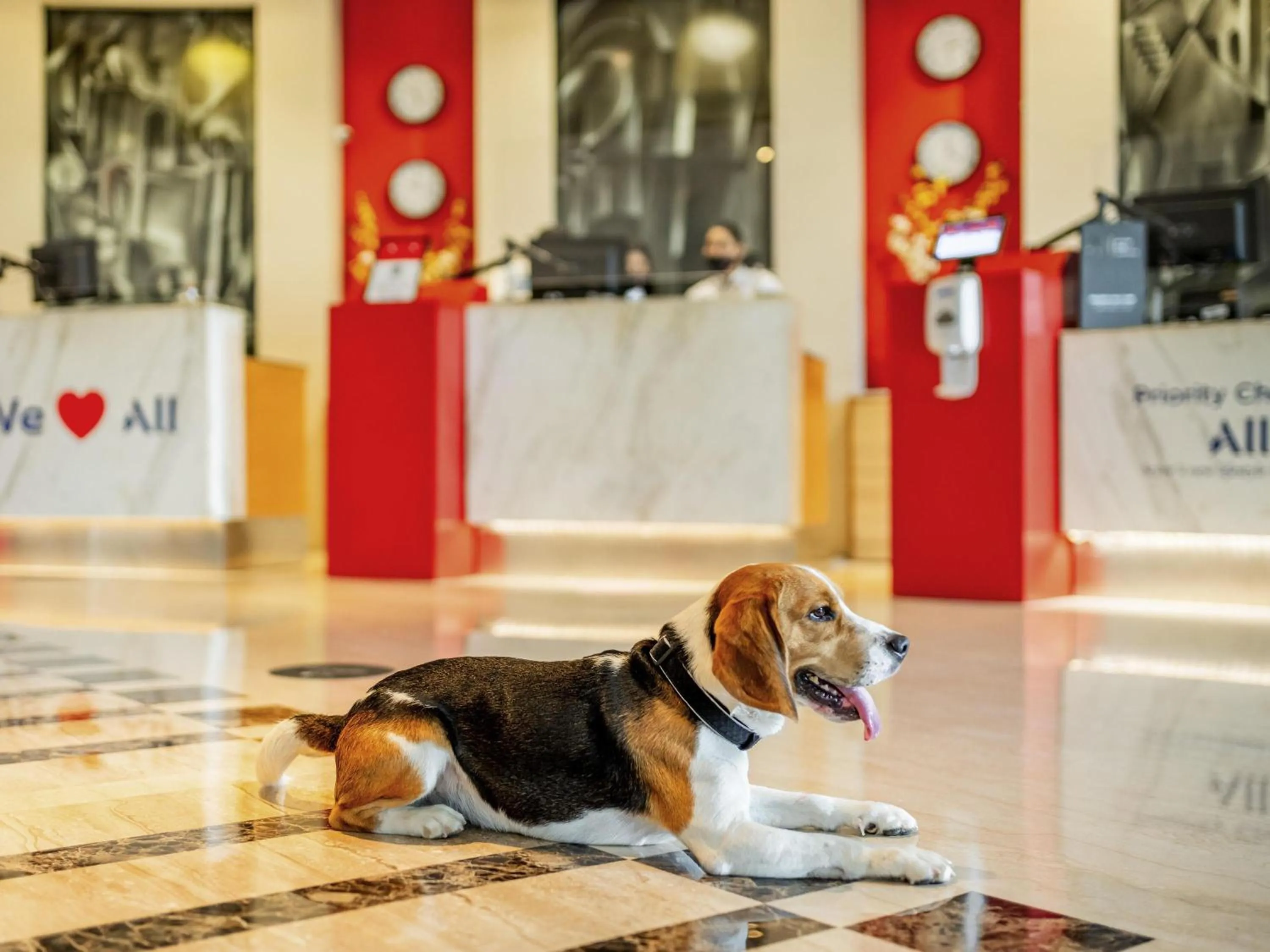 Other in ibis Bengaluru City Centre - An Accor Brand